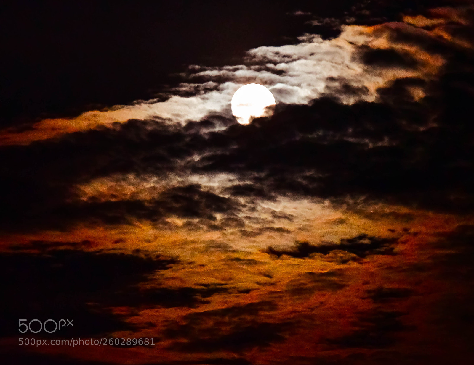 Nikon D7500 sample photo. The flower moon photography