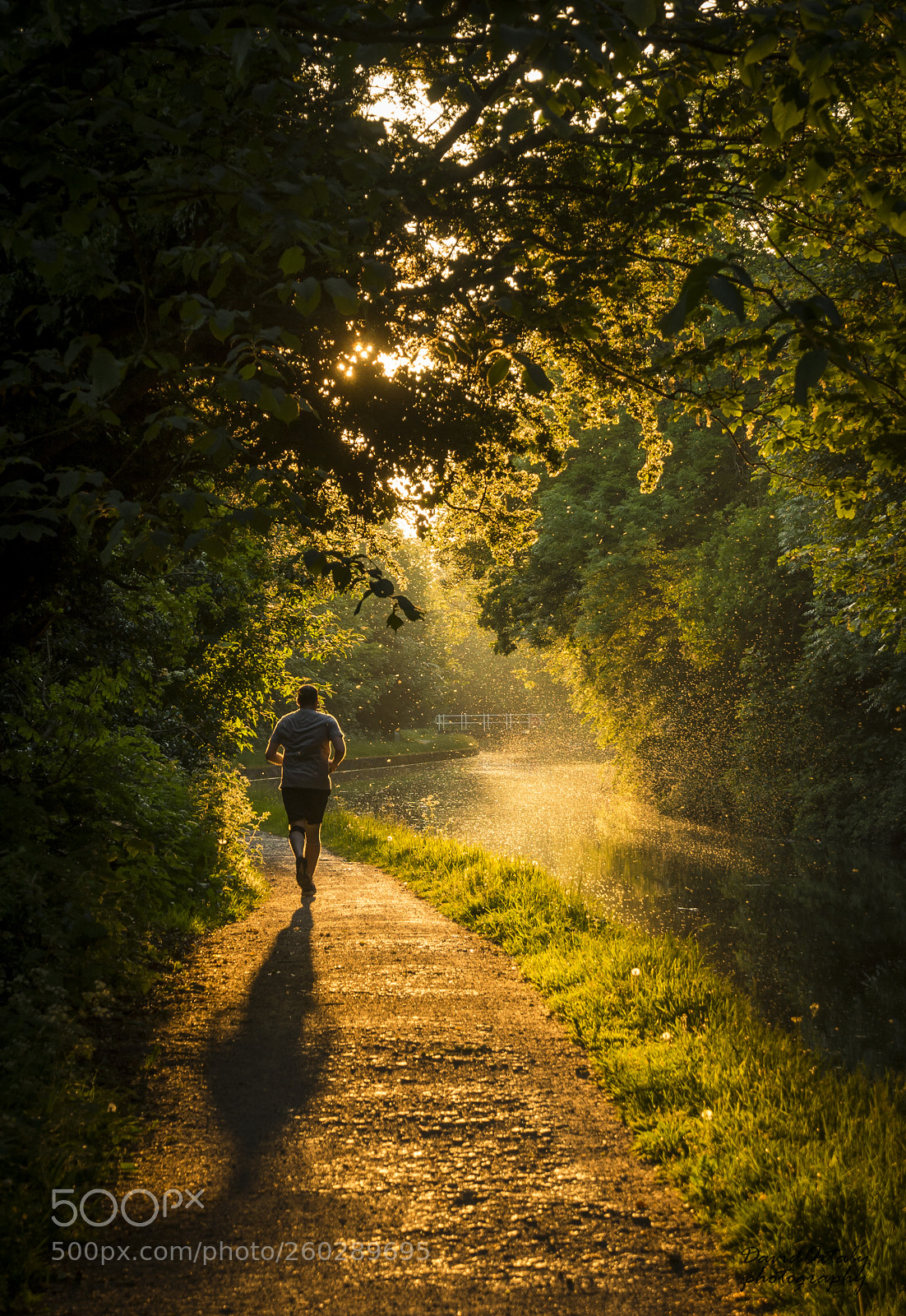 Olympus OM-D E-M10 II sample photo. Running into the sunset photography