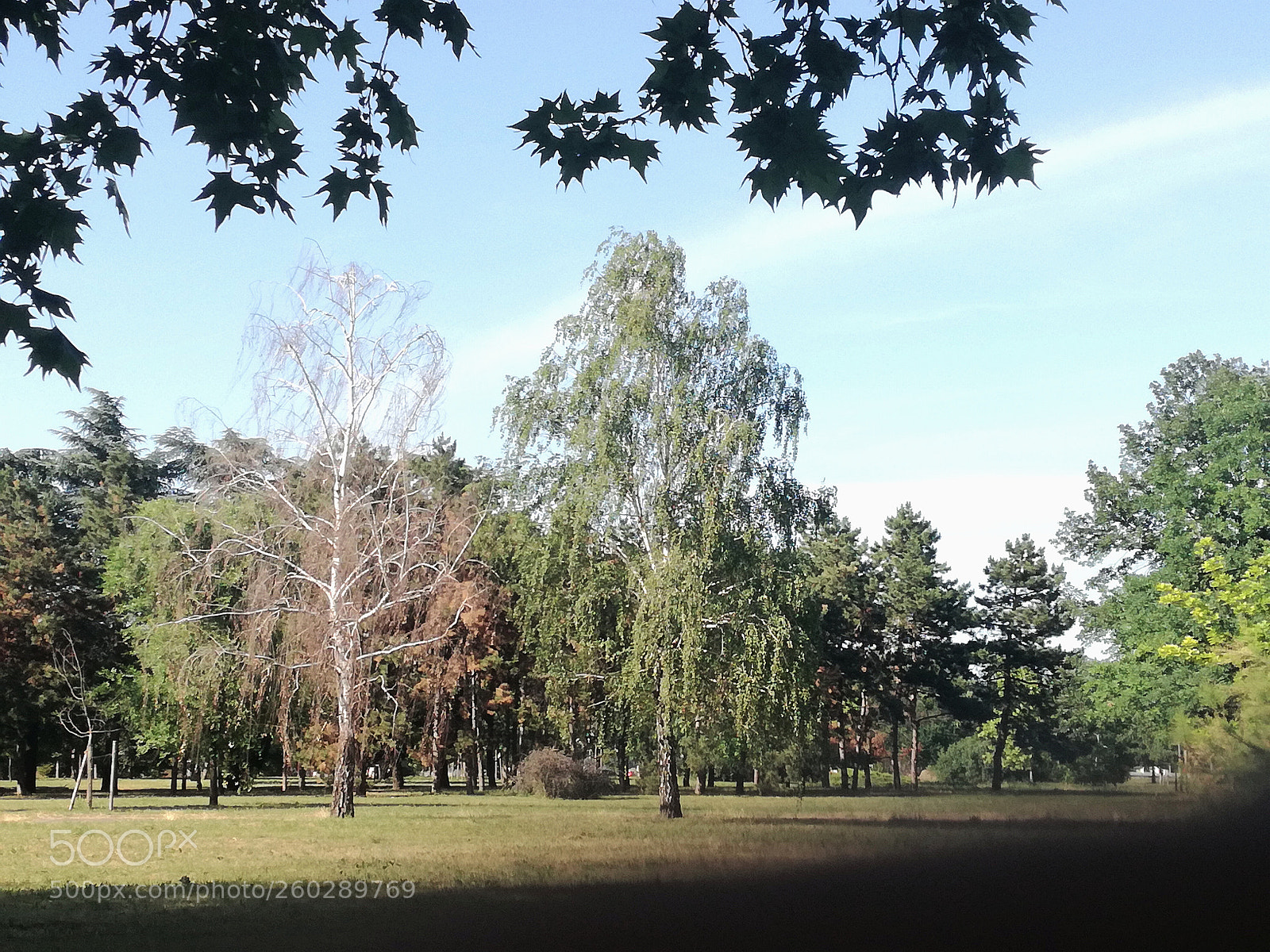 HUAWEI P9 LITE sample photo. Old and young photography
