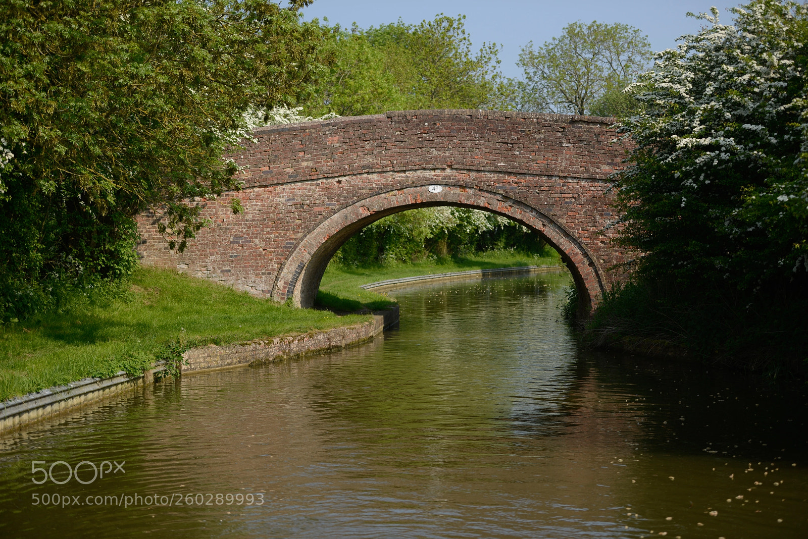 Nikon D800 sample photo. Bridge photography