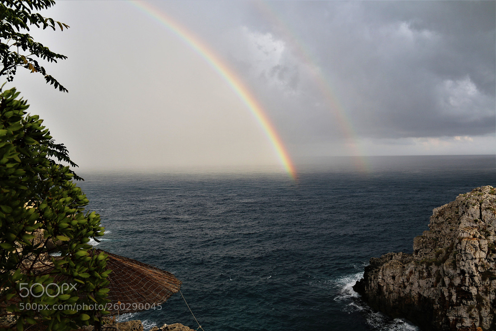 Canon EOS 70D sample photo. Img photography