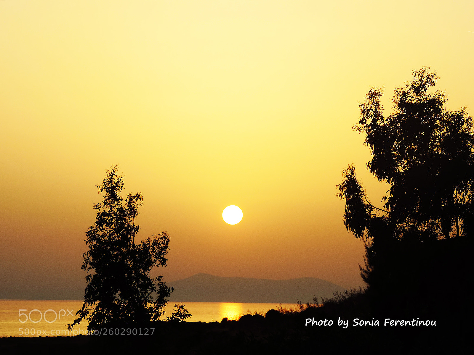 Nikon Coolpix P520 sample photo. Gold sunset.... photography