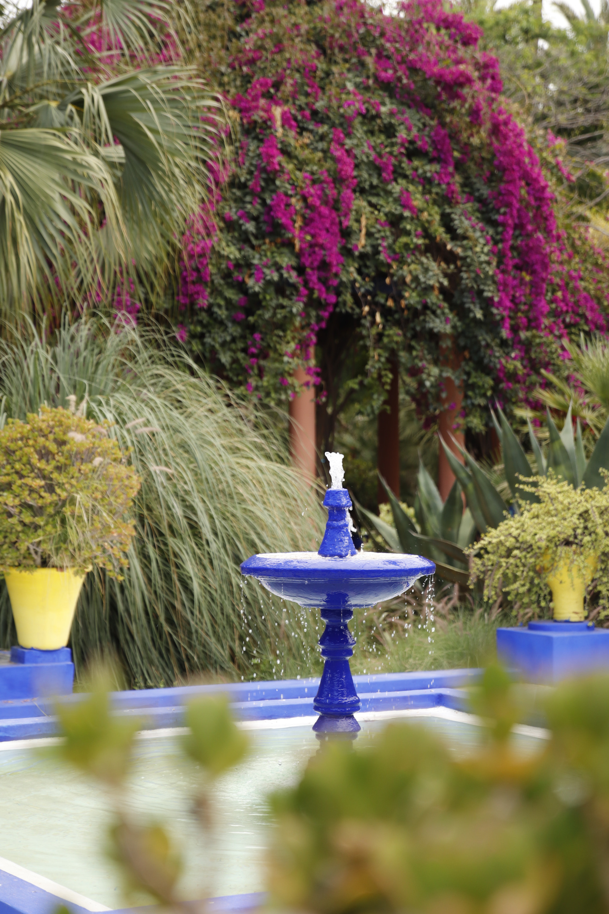 Canon EOS 800D (EOS Rebel T7i / EOS Kiss X9i) sample photo. Jardin majorelle photography