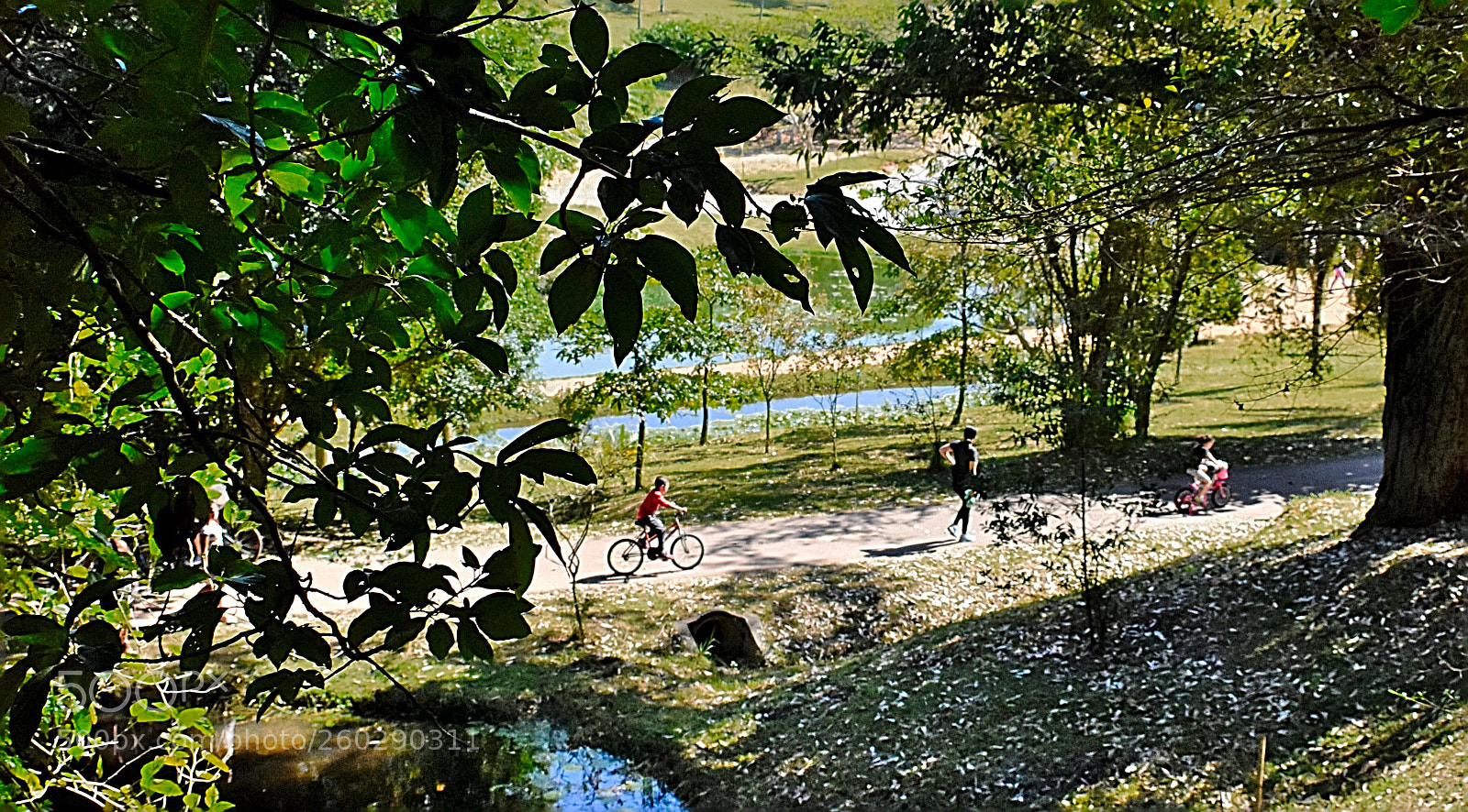 Nikon D5600 sample photo. Alc photography