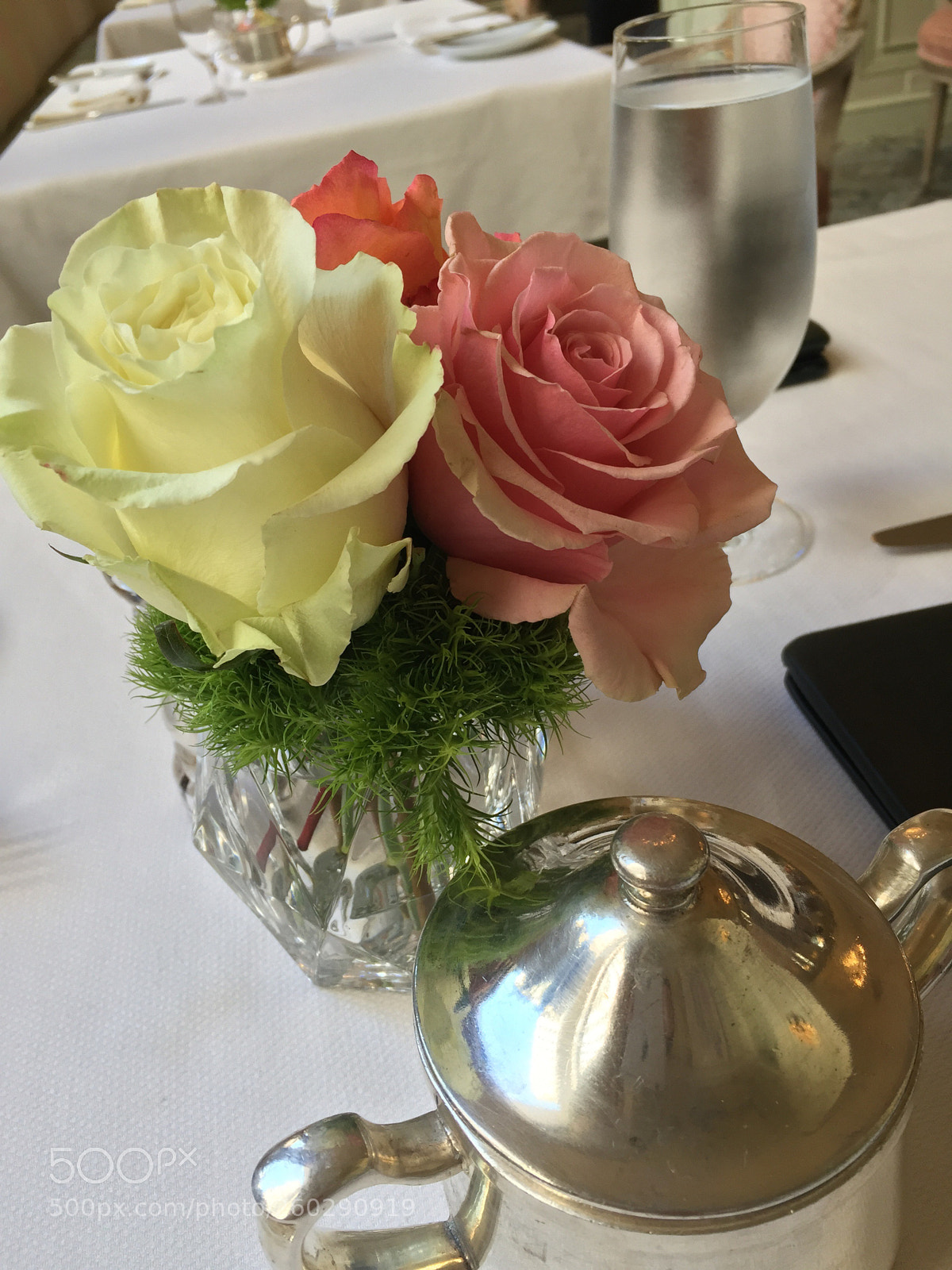 Apple iPhone 6 Plus sample photo. Tea time photography