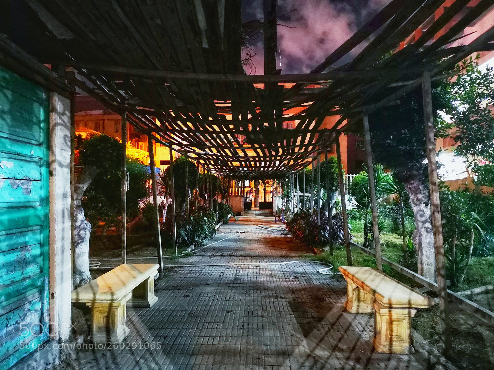 HUAWEI CLT-L29 sample photo. Approach photography