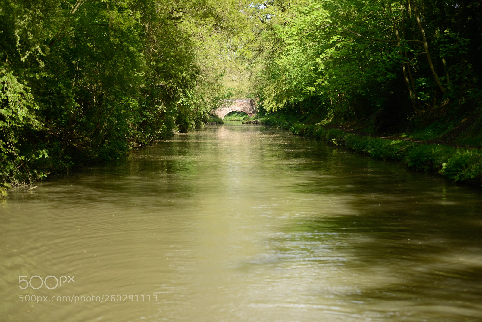 Nikon D800 sample photo. Bridge photography