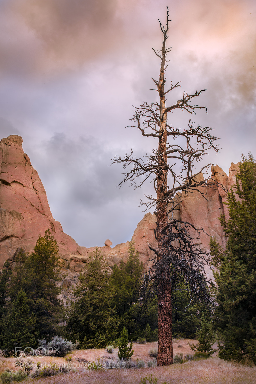 Canon EOS 5D Mark IV sample photo. Smith rock photography