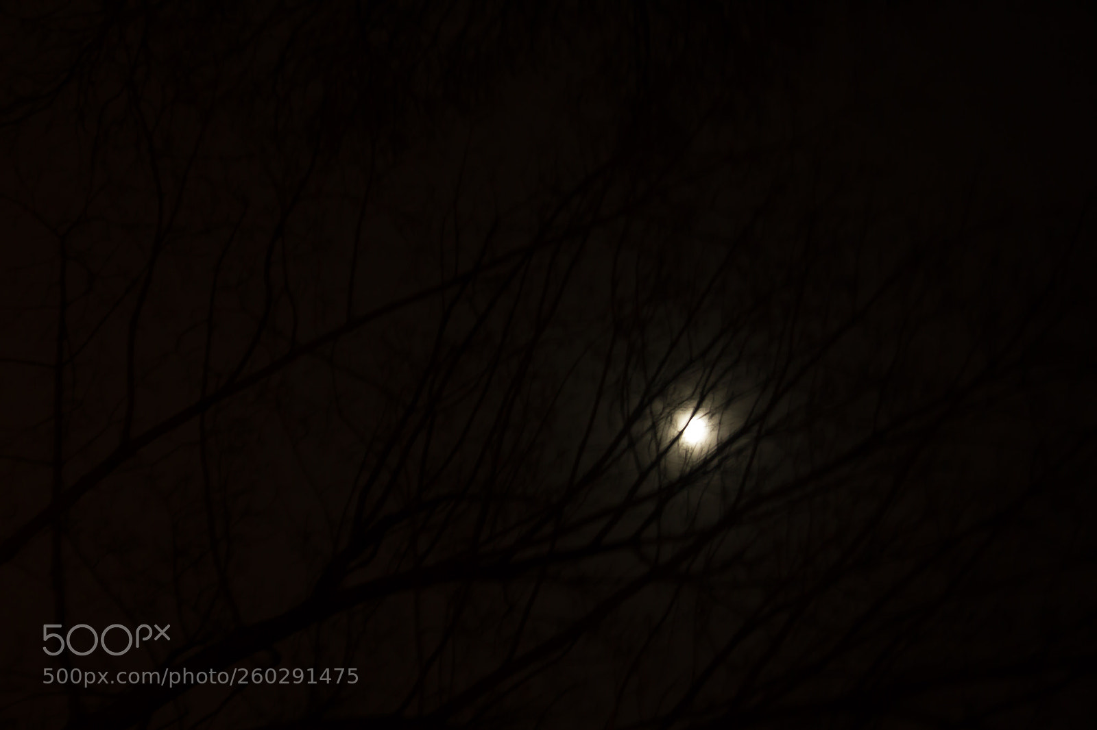 Canon EOS 550D (EOS Rebel T2i / EOS Kiss X4) sample photo. Moon and photography