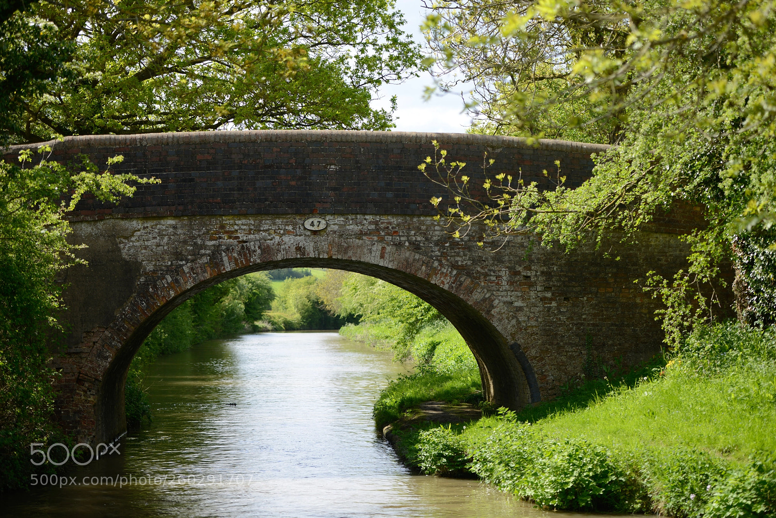Nikon D800 sample photo. Bridge photography