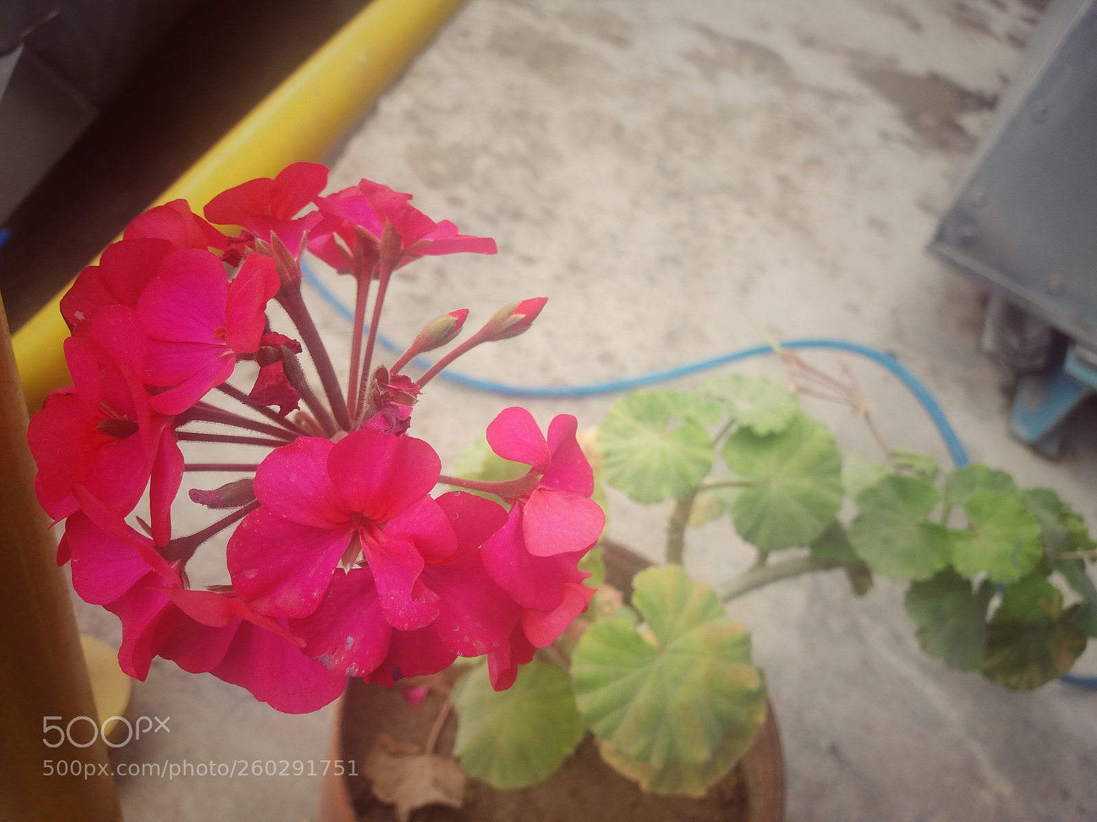 Samsung Galaxy J5 sample photo. Untitled photography