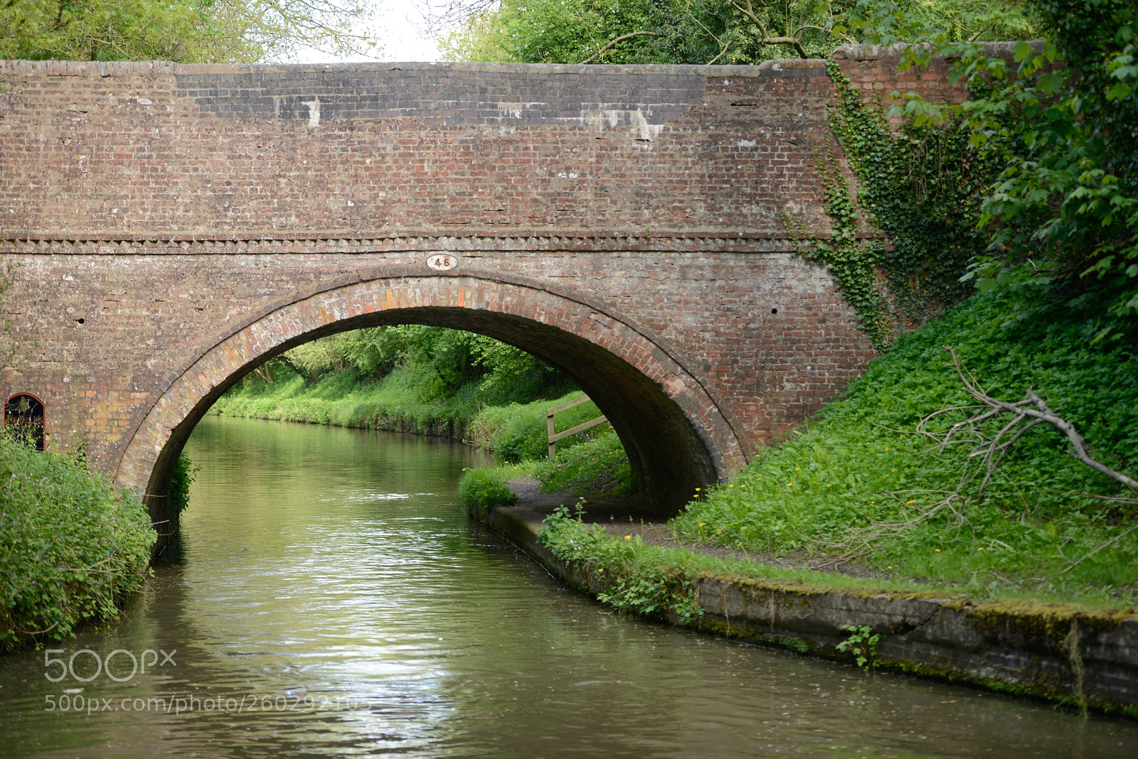 Nikon D800 sample photo. Bridge photography