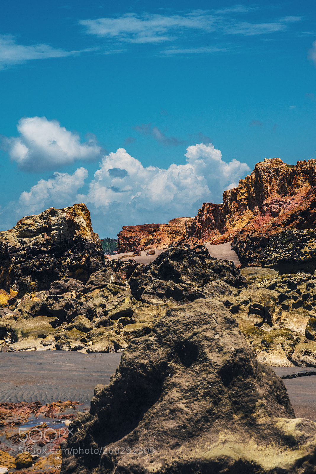 Nikon D750 sample photo. Stoneland photography