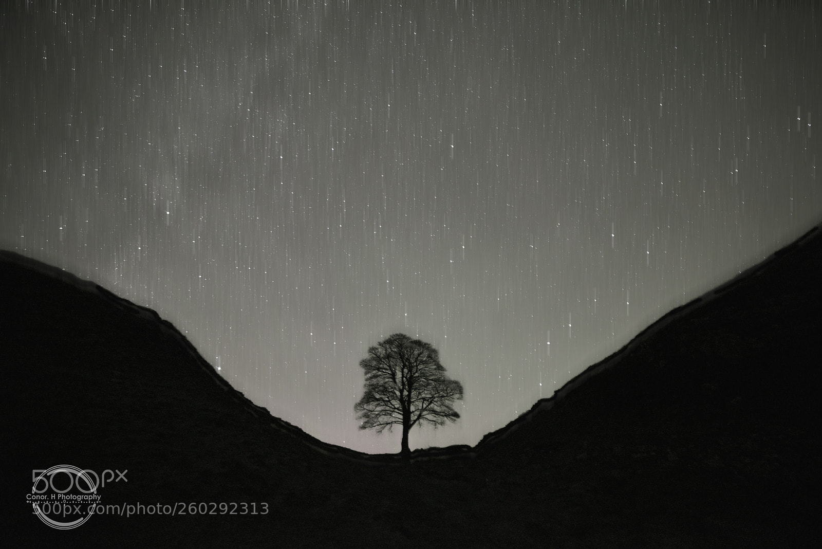 Nikon D810 sample photo. Grey lightspeed photography