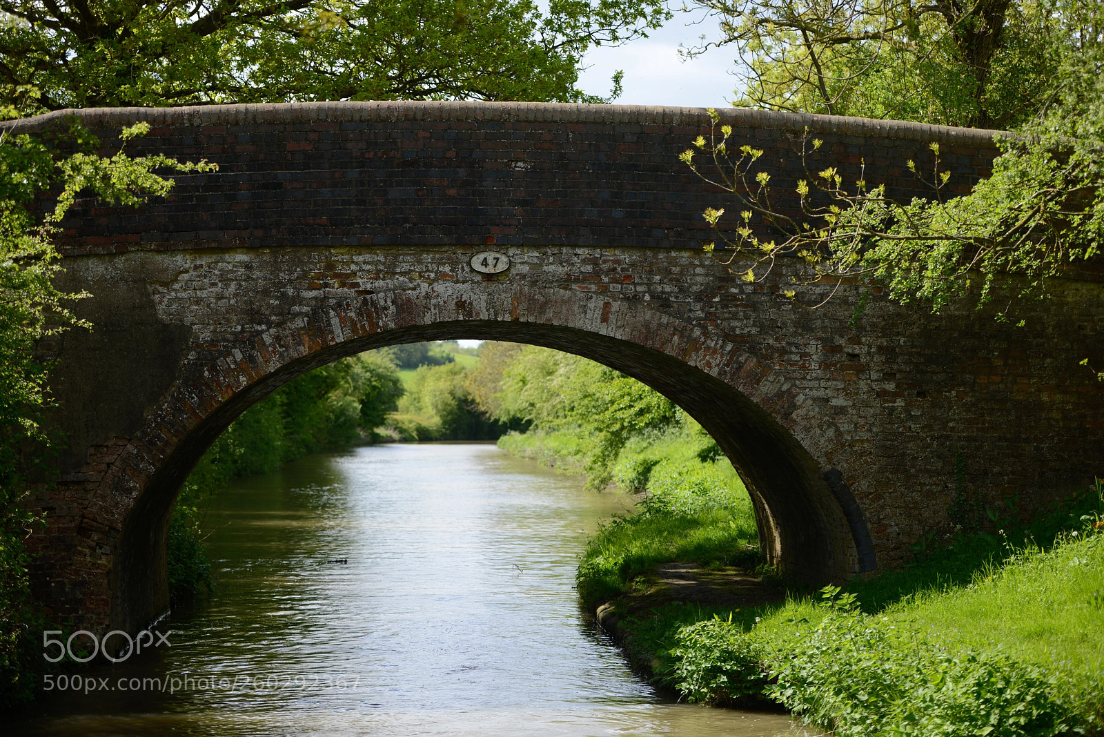 Nikon D800 sample photo. Bridge photography