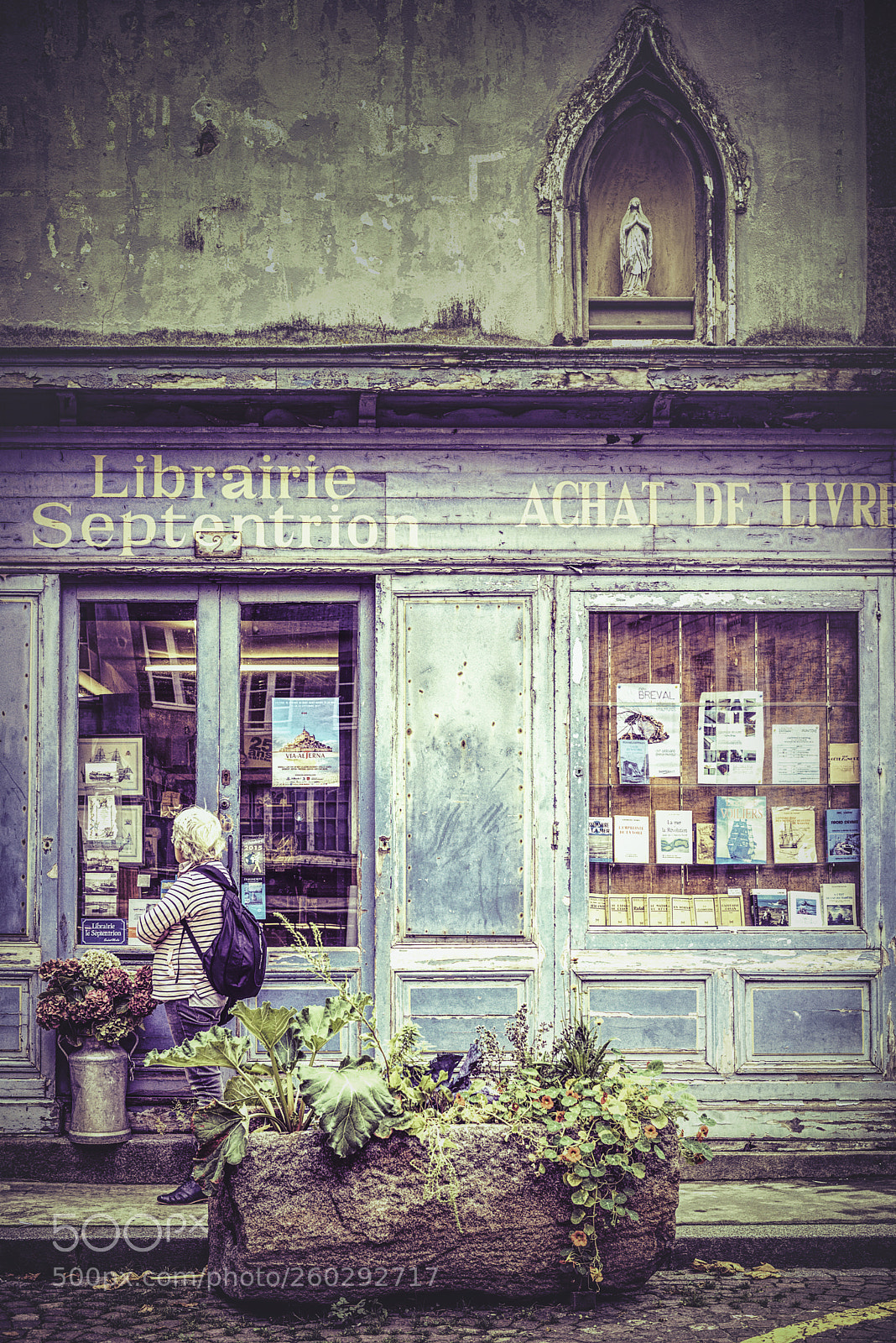 Nikon D600 sample photo. Librairie septentrion photography