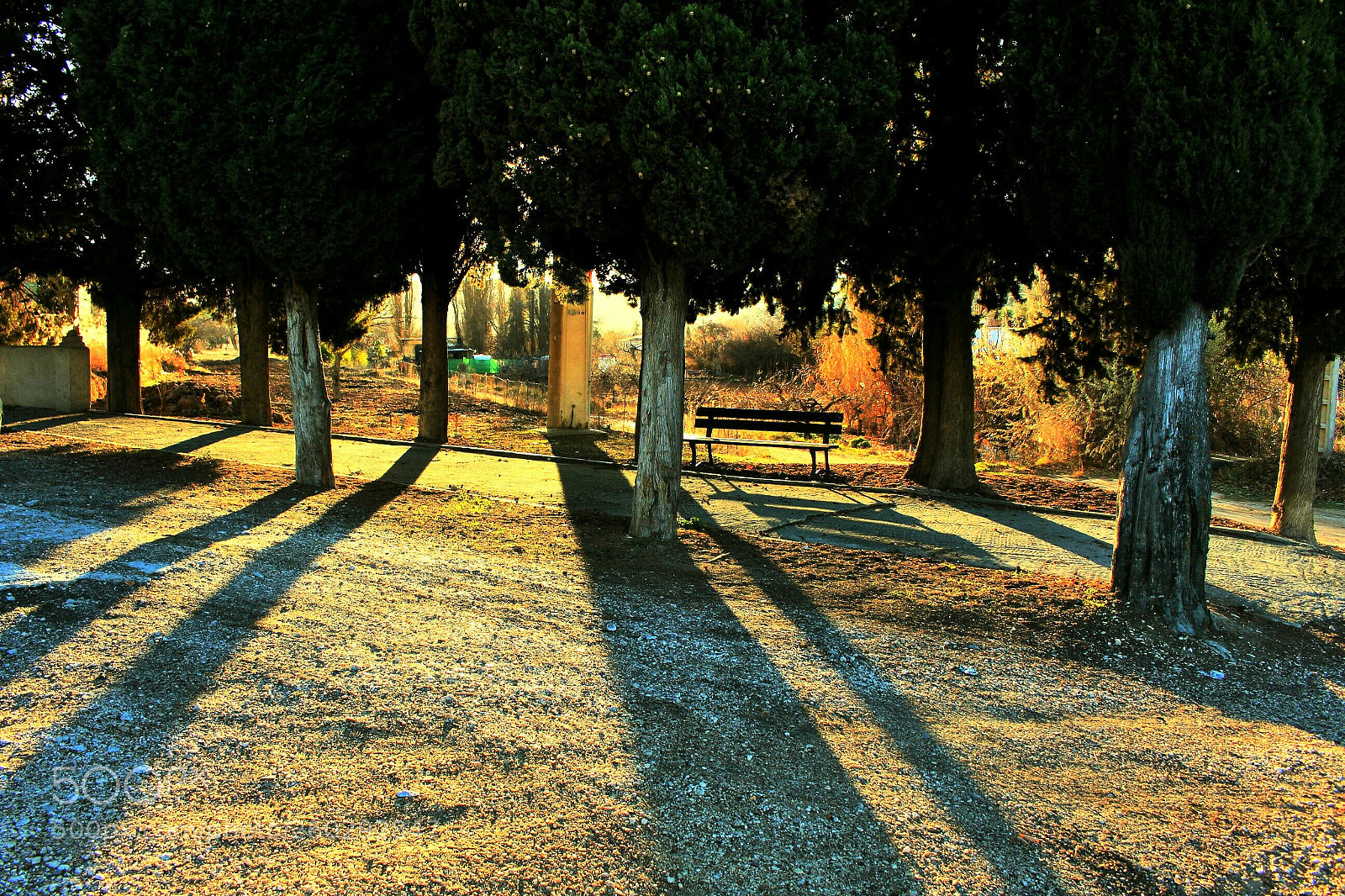 Canon EOS 700D (EOS Rebel T5i / EOS Kiss X7i) sample photo. Sol y sombras. photography
