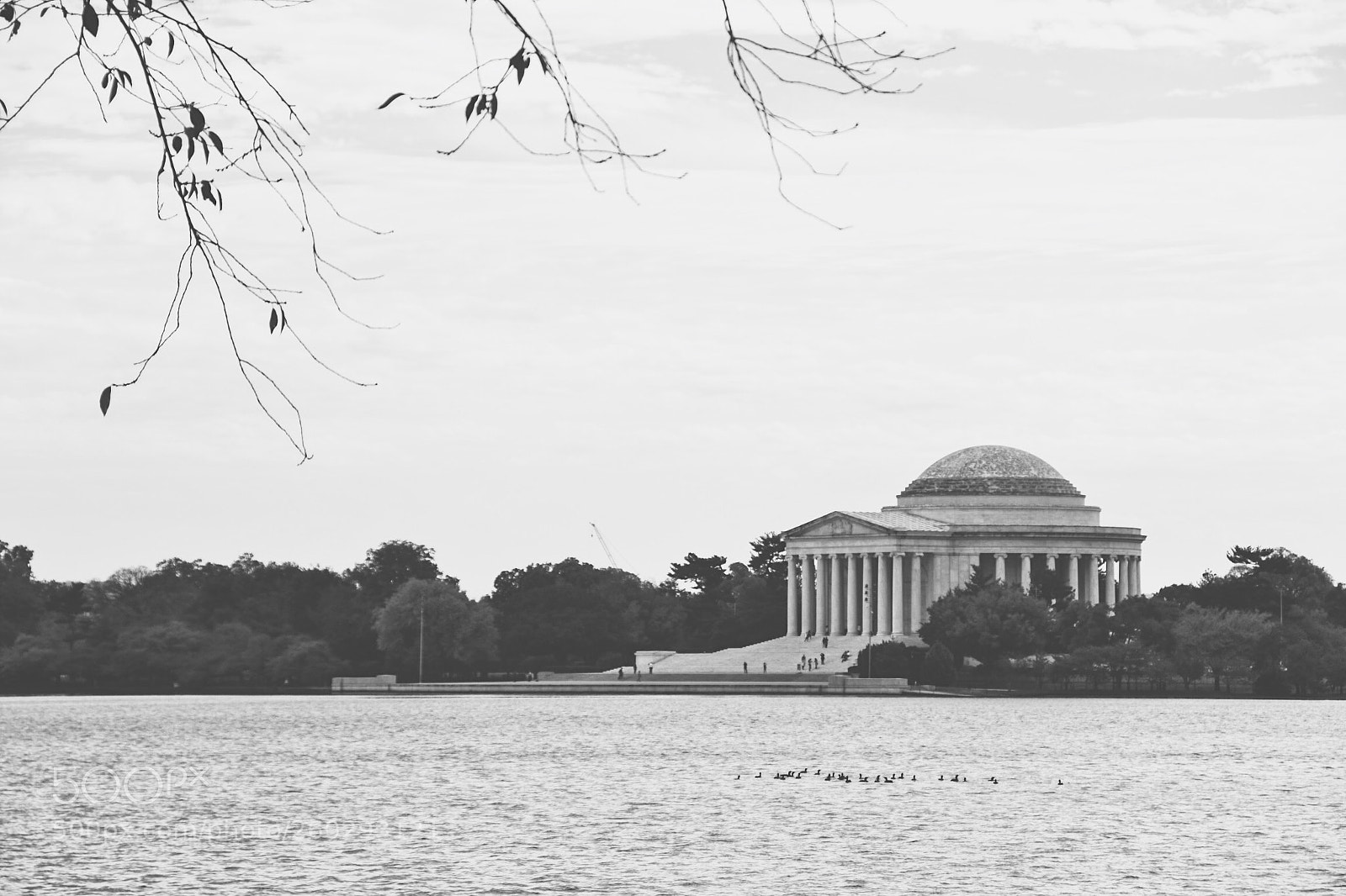 Nikon D3100 sample photo. From across the river photography