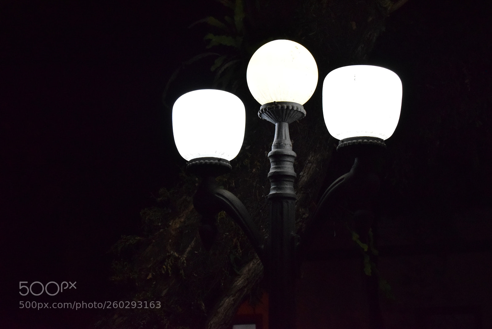 Nikon D5300 sample photo. Light ? photography