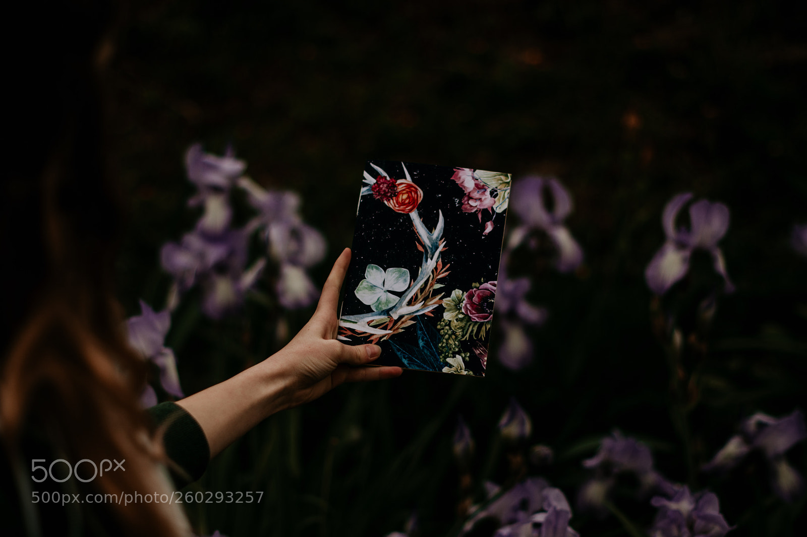 Nikon D7100 sample photo. Sunrisebooks photography