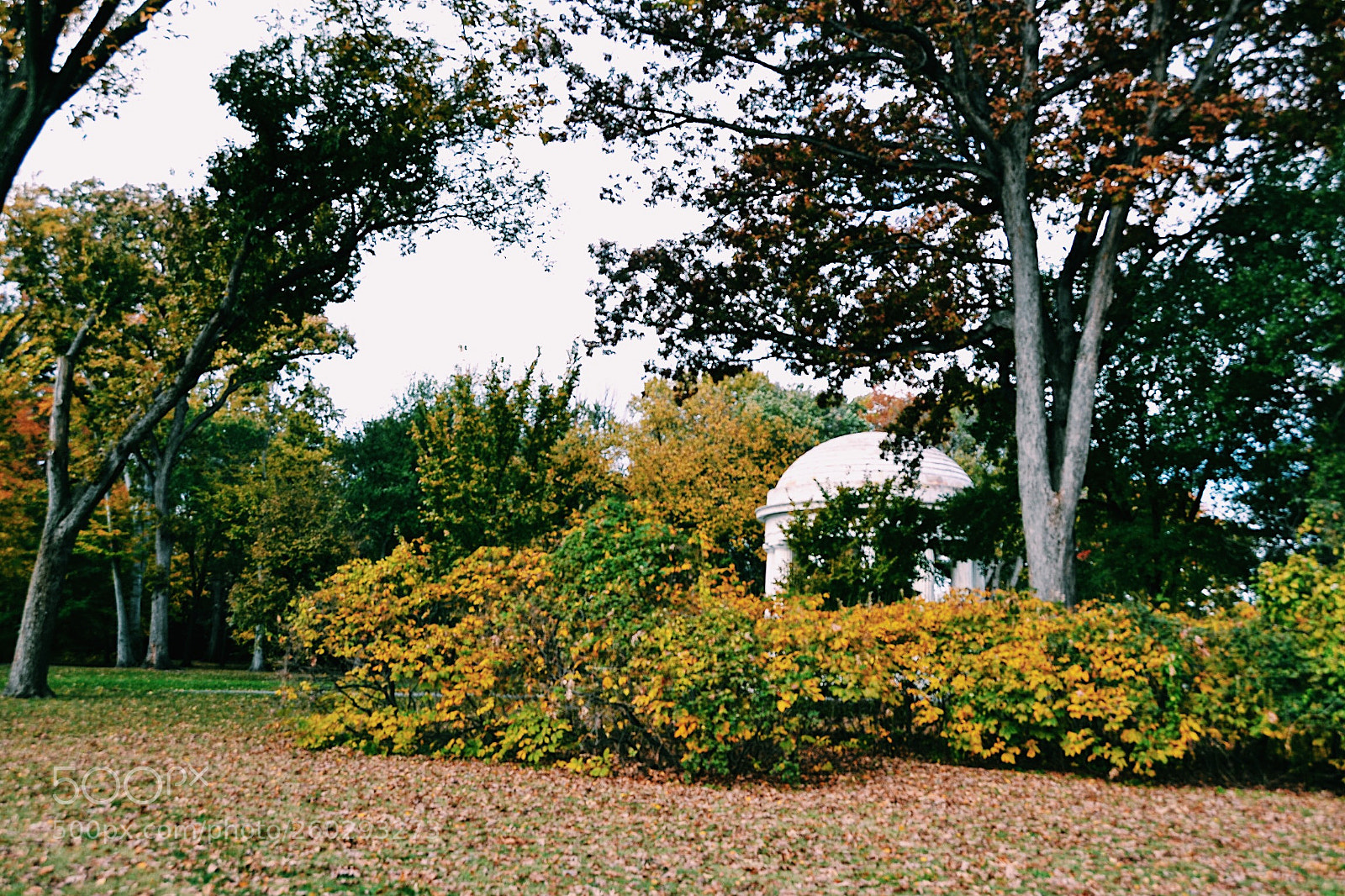 Nikon D3100 sample photo. The hidden memorial photography