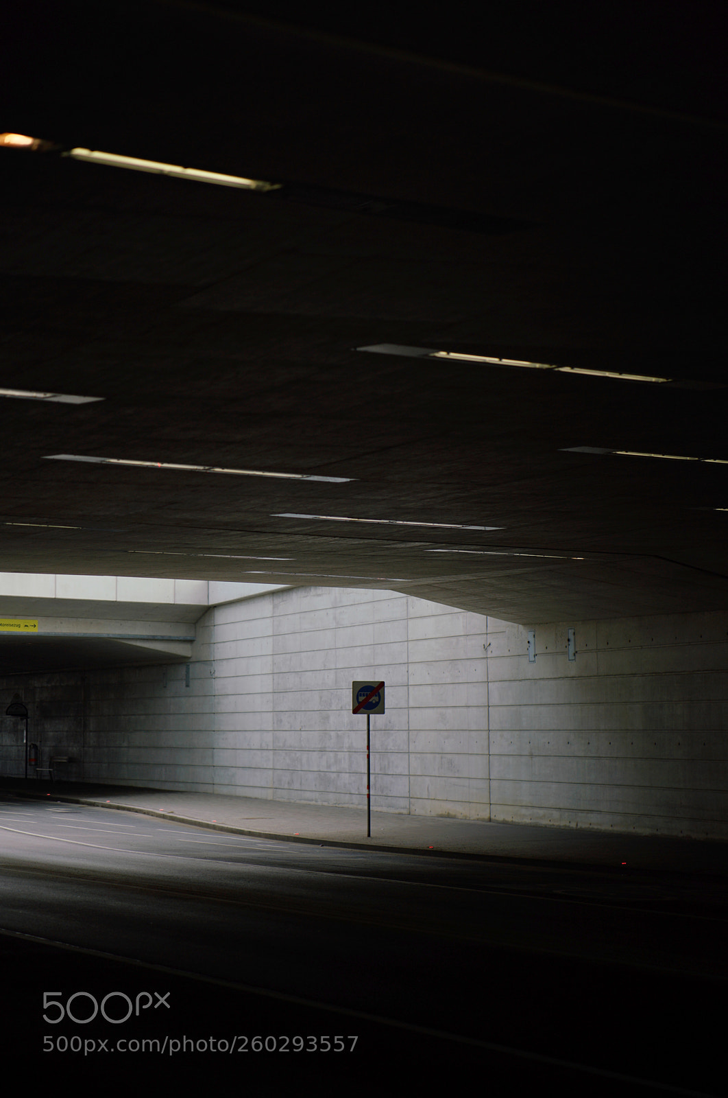 Sony a7R II sample photo. Untitled photography