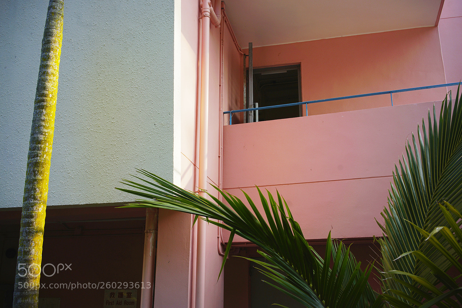 Sony a7R II sample photo. Untitled photography