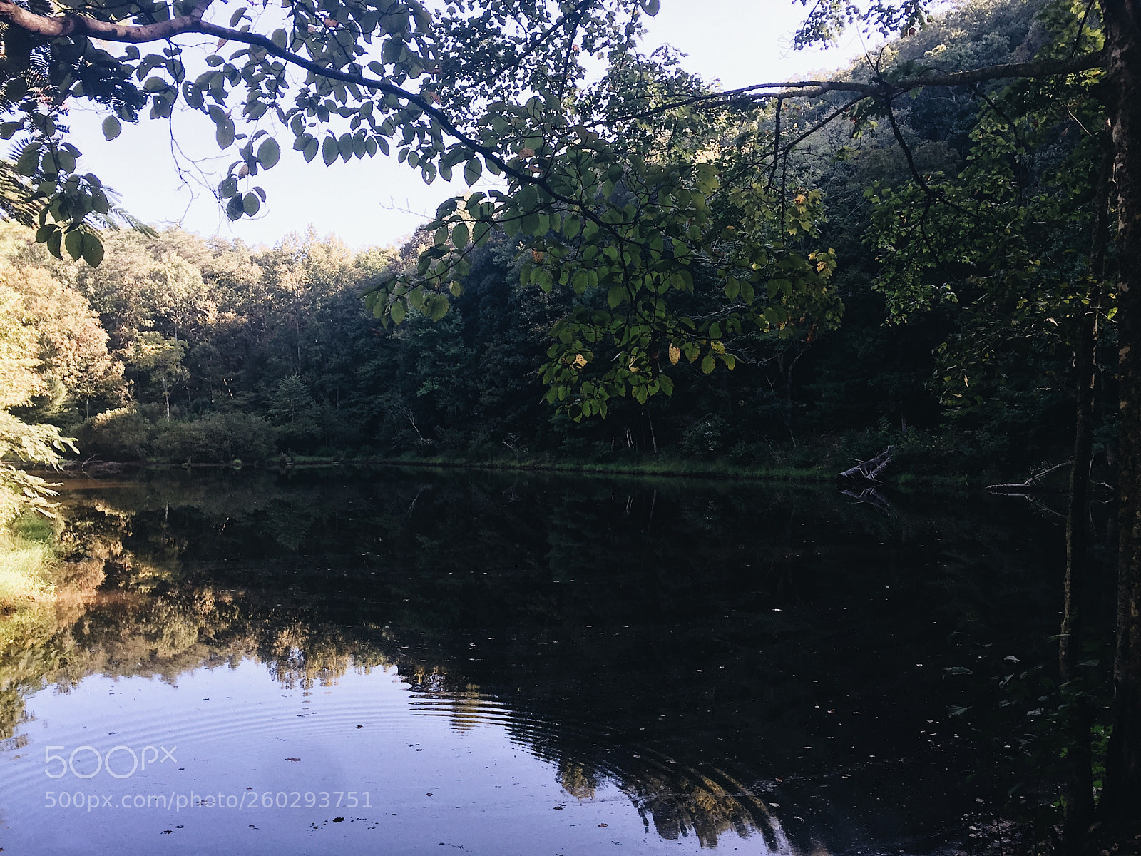 Apple iPhone 6 sample photo. A natural reflection photography