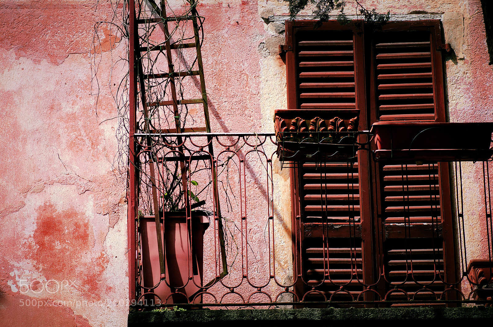 Pentax K-5 sample photo. Untitled photography