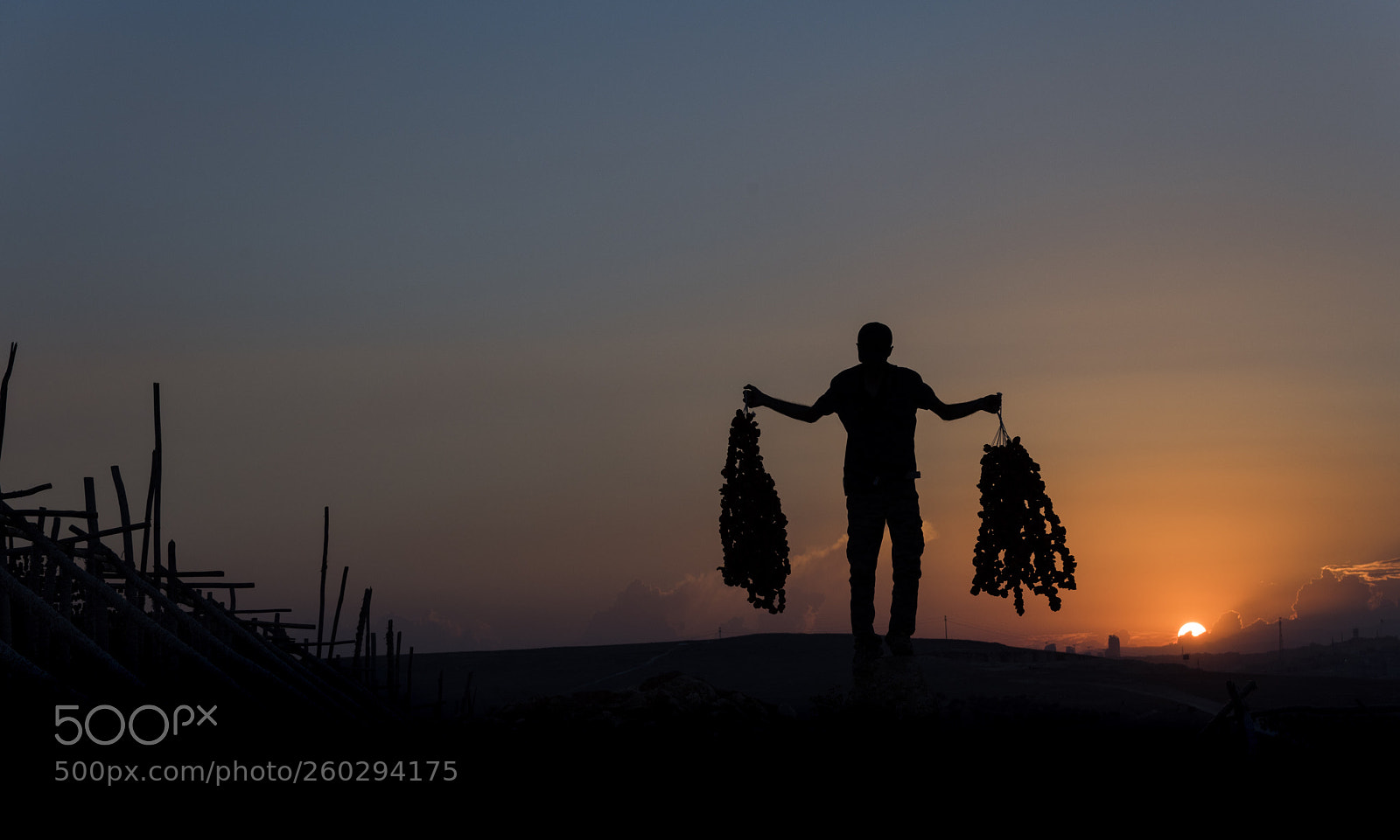 Nikon D810 sample photo. Untitled photography