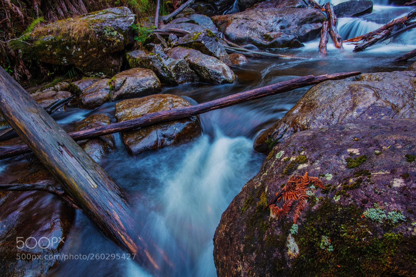 Nikon D850 sample photo. Keppel falls photography