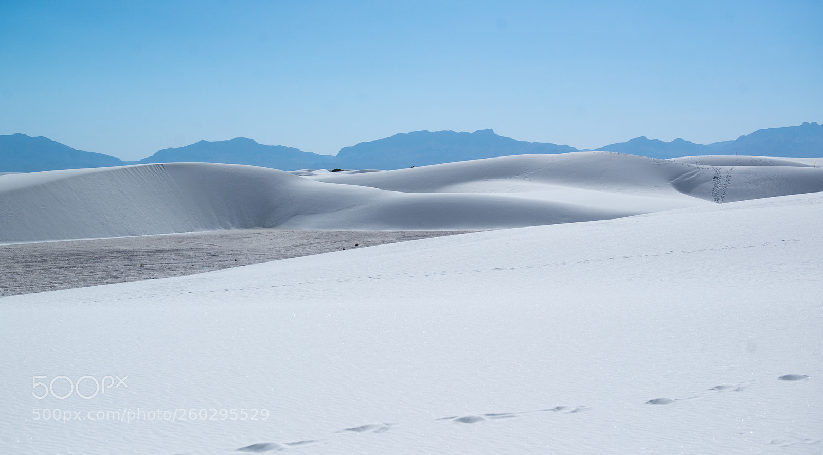 Nikon D800 sample photo. White land photography