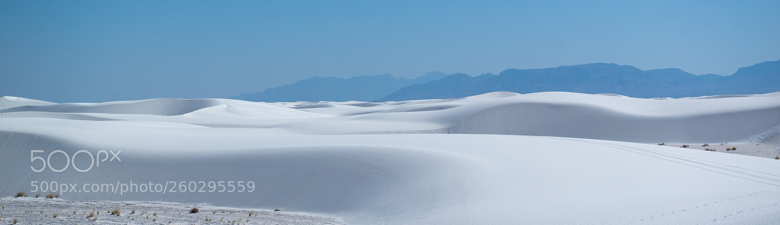 Nikon D800 sample photo. White land photography