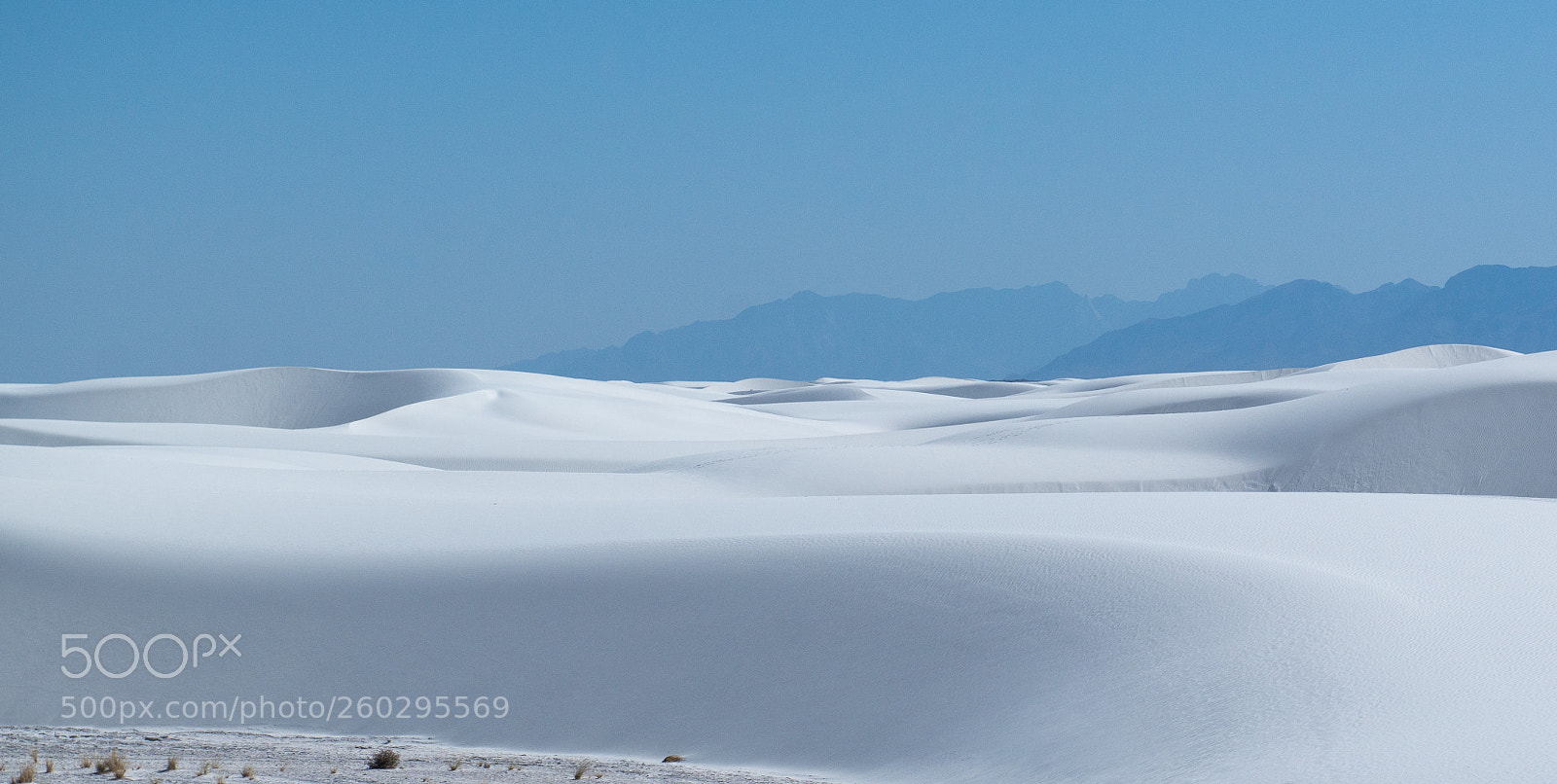 Nikon D800 sample photo. White land photography