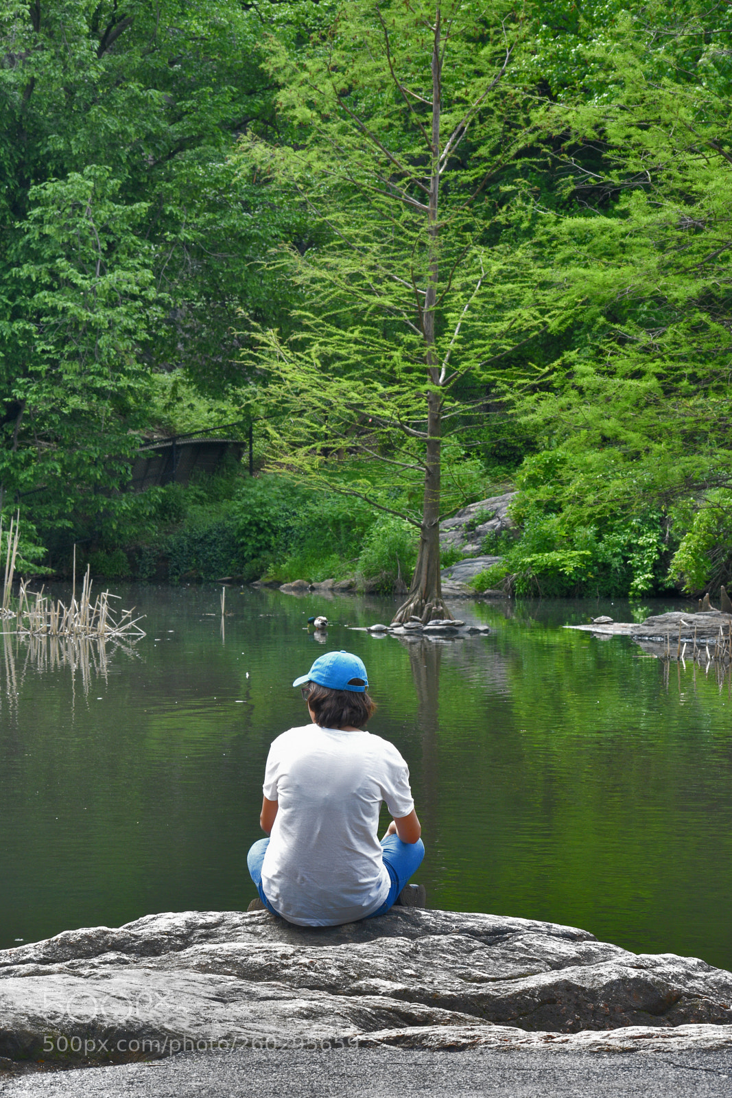 Nikon D3400 sample photo. Contemplation photography