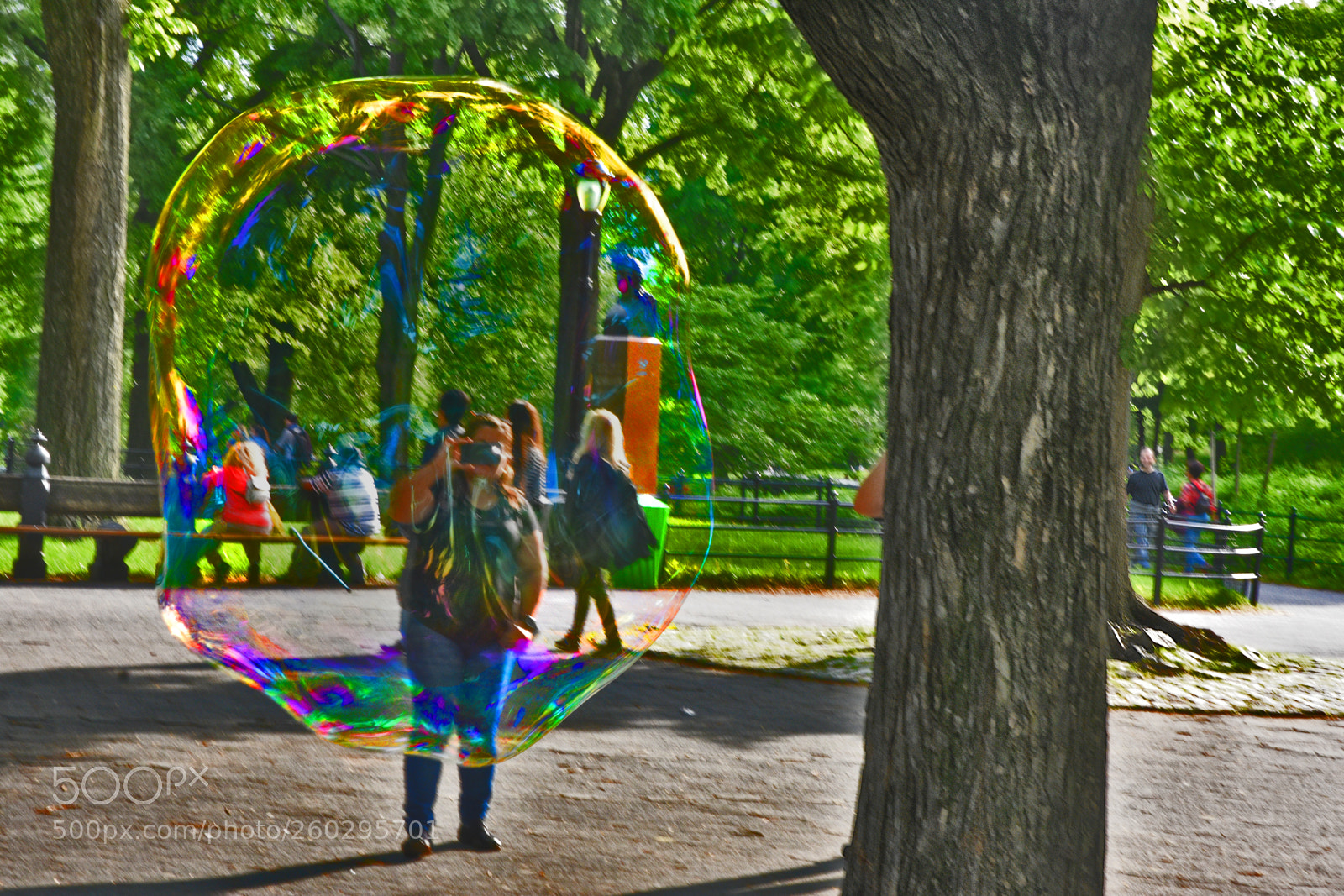 Nikon D3400 sample photo. Hiding behind a bubble photography