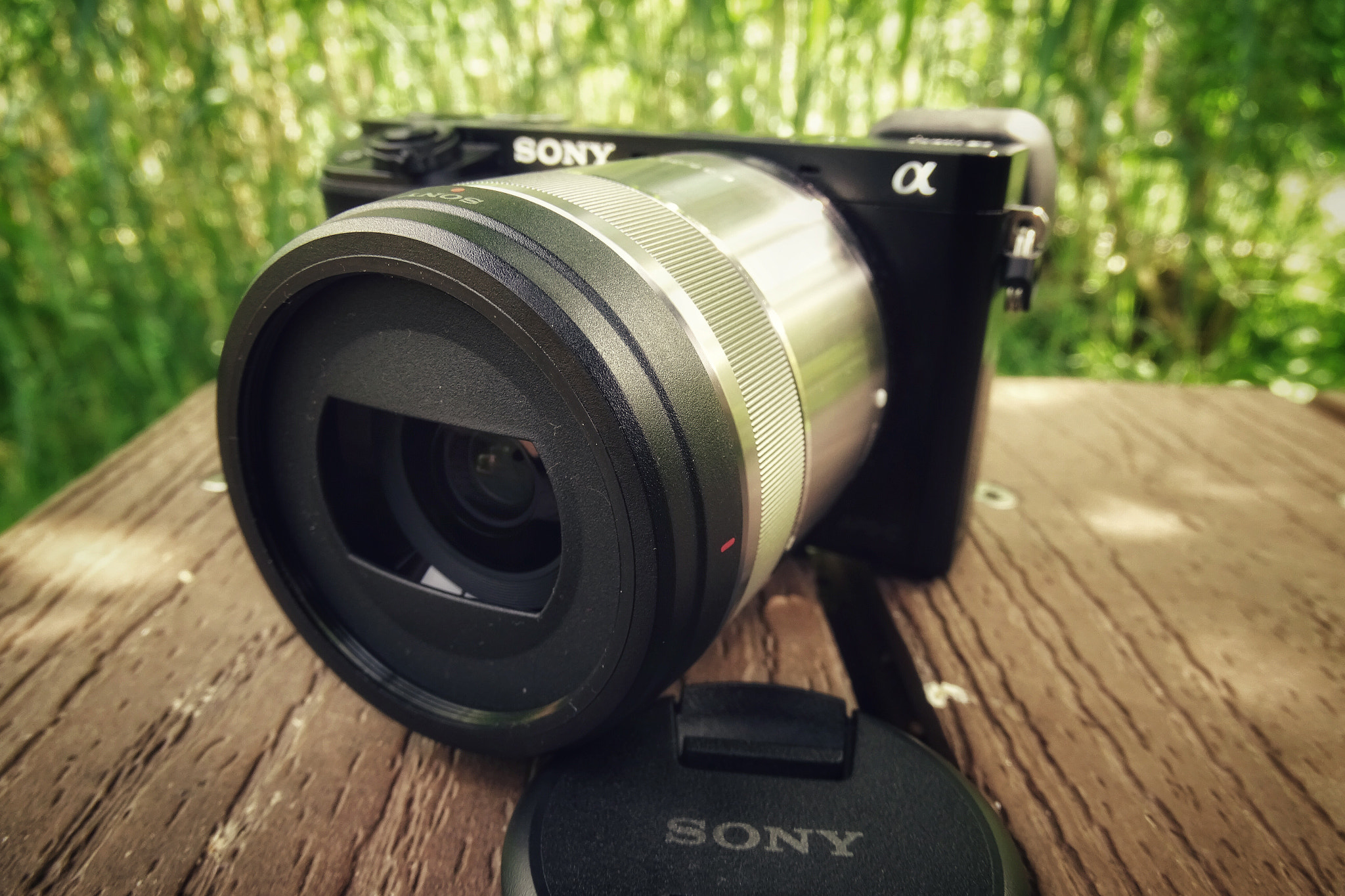 Sony Cyber-shot DSC-HX350 sample photo. Sel30mm35 photography