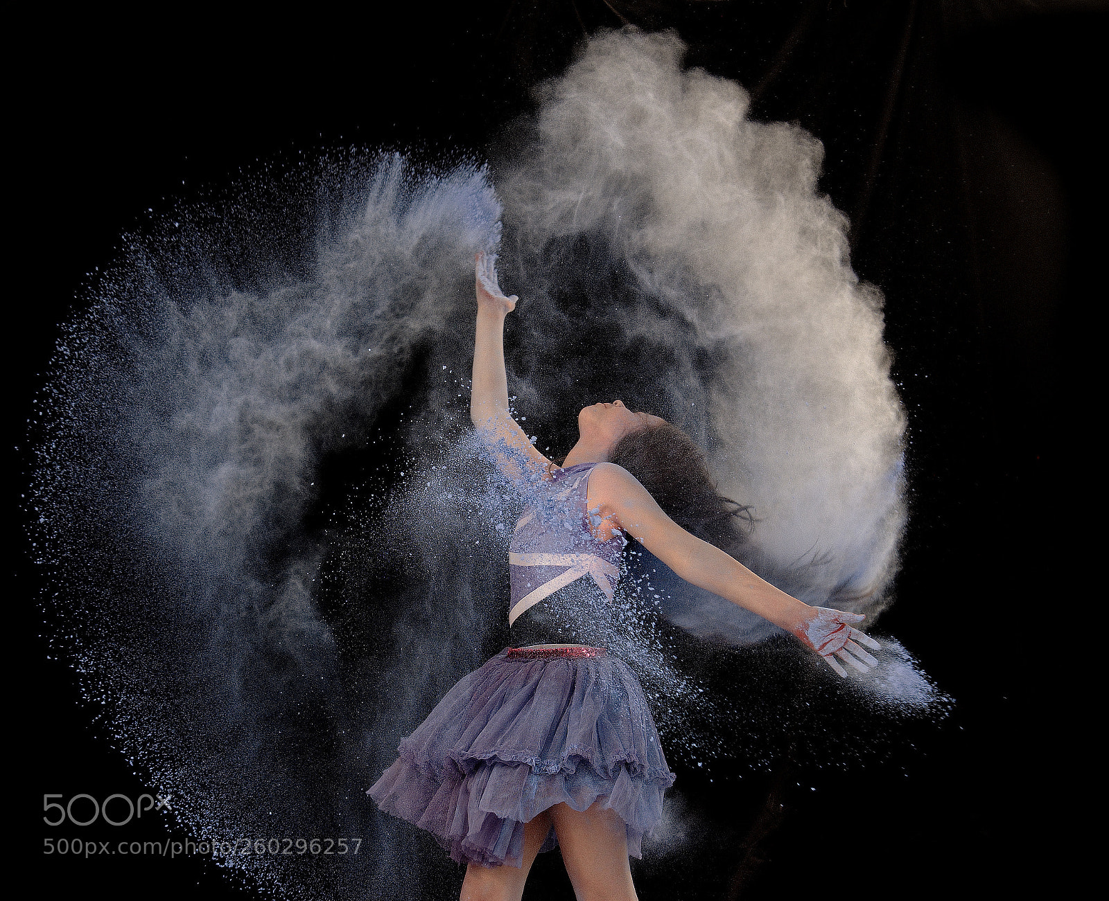 Nikon D850 sample photo. Untitled photography