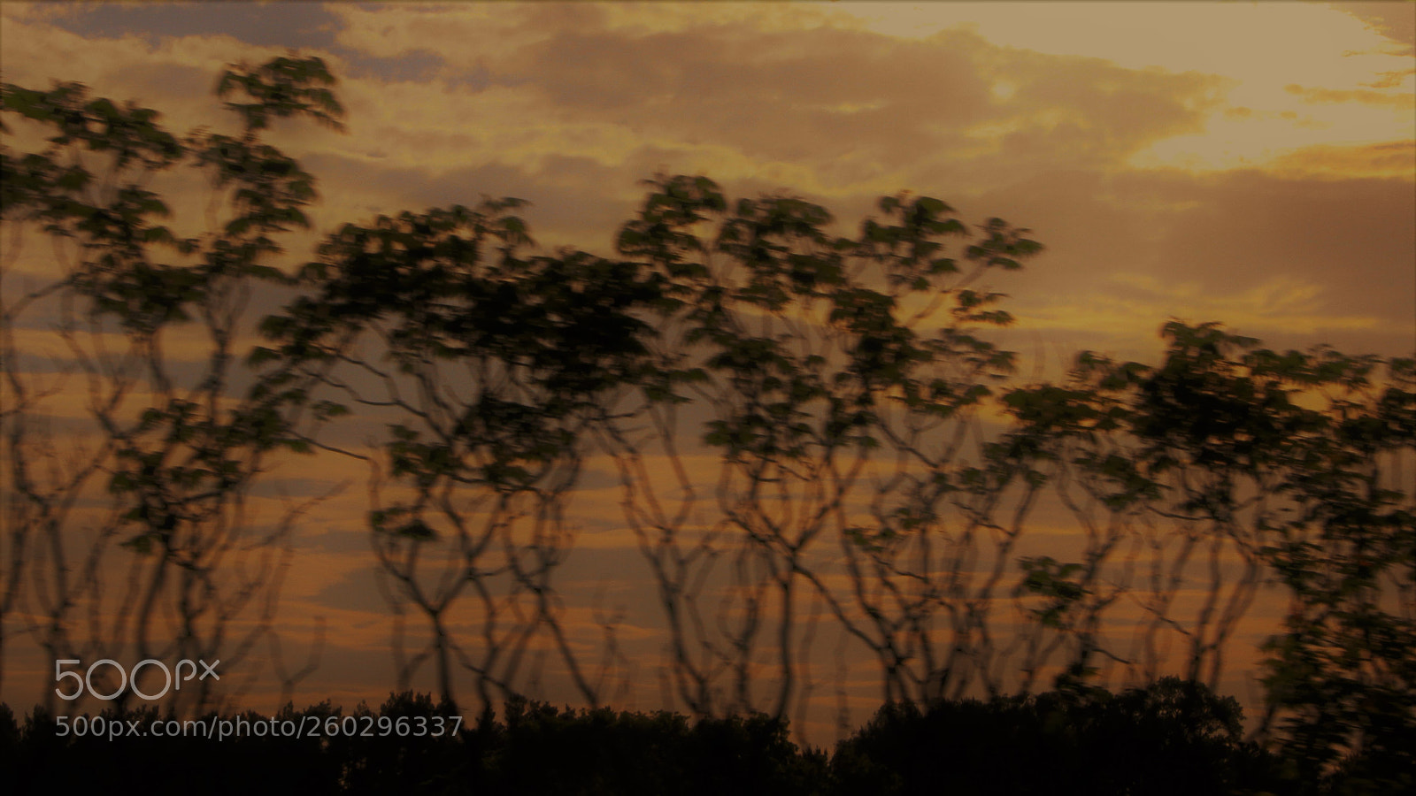 Canon EOS 7D sample photo. Twilight photography