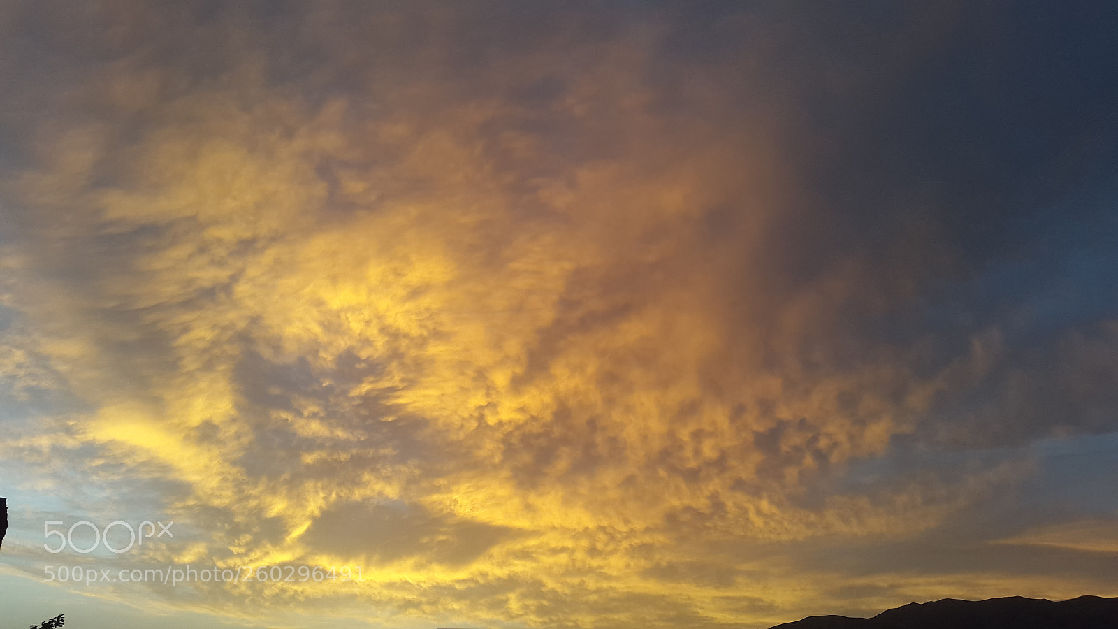 Samsung Galaxy S5 sample photo. Untitled photography