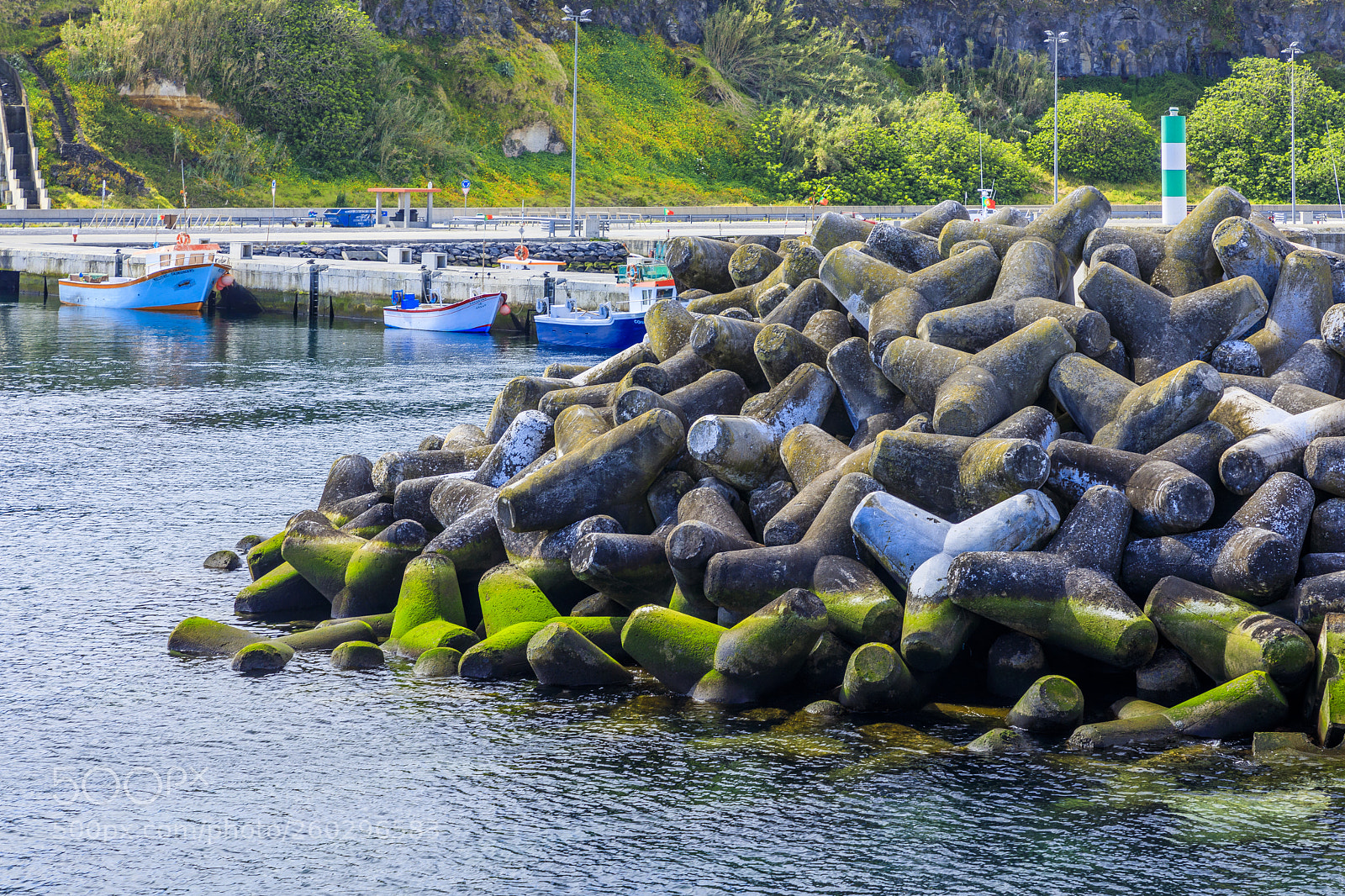 Canon EOS 5D Mark IV sample photo. A ores-s o miguel-rabo photography