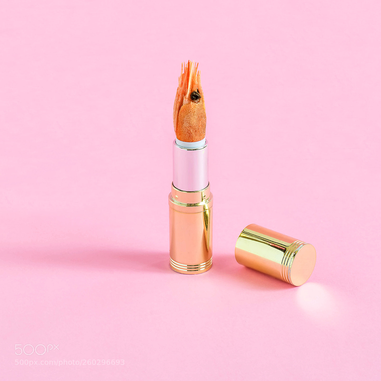 Nikon D3100 sample photo. Creative idea tube of photography