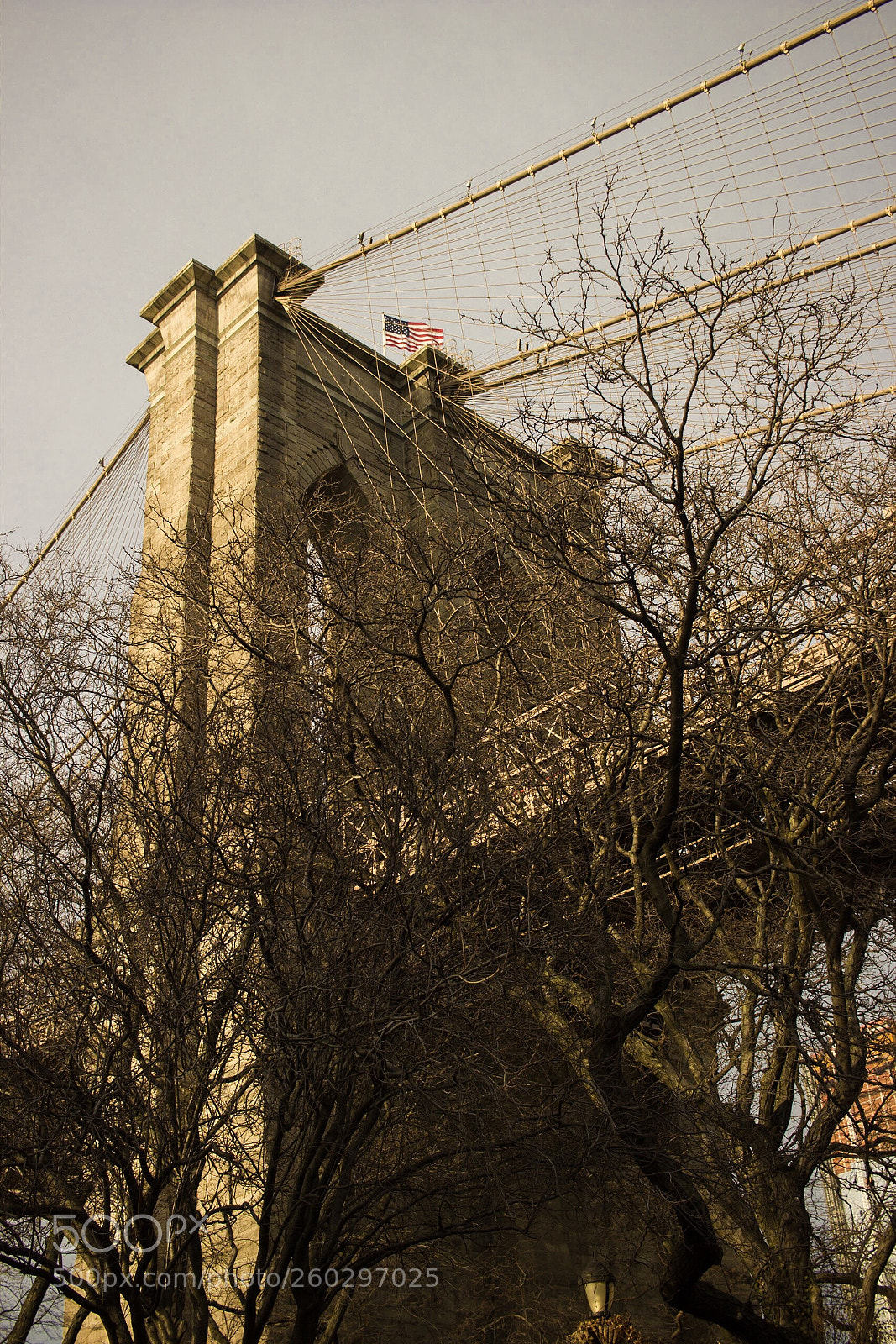 Canon EOS 600D (Rebel EOS T3i / EOS Kiss X5) sample photo. Brooklyn bridge  photography