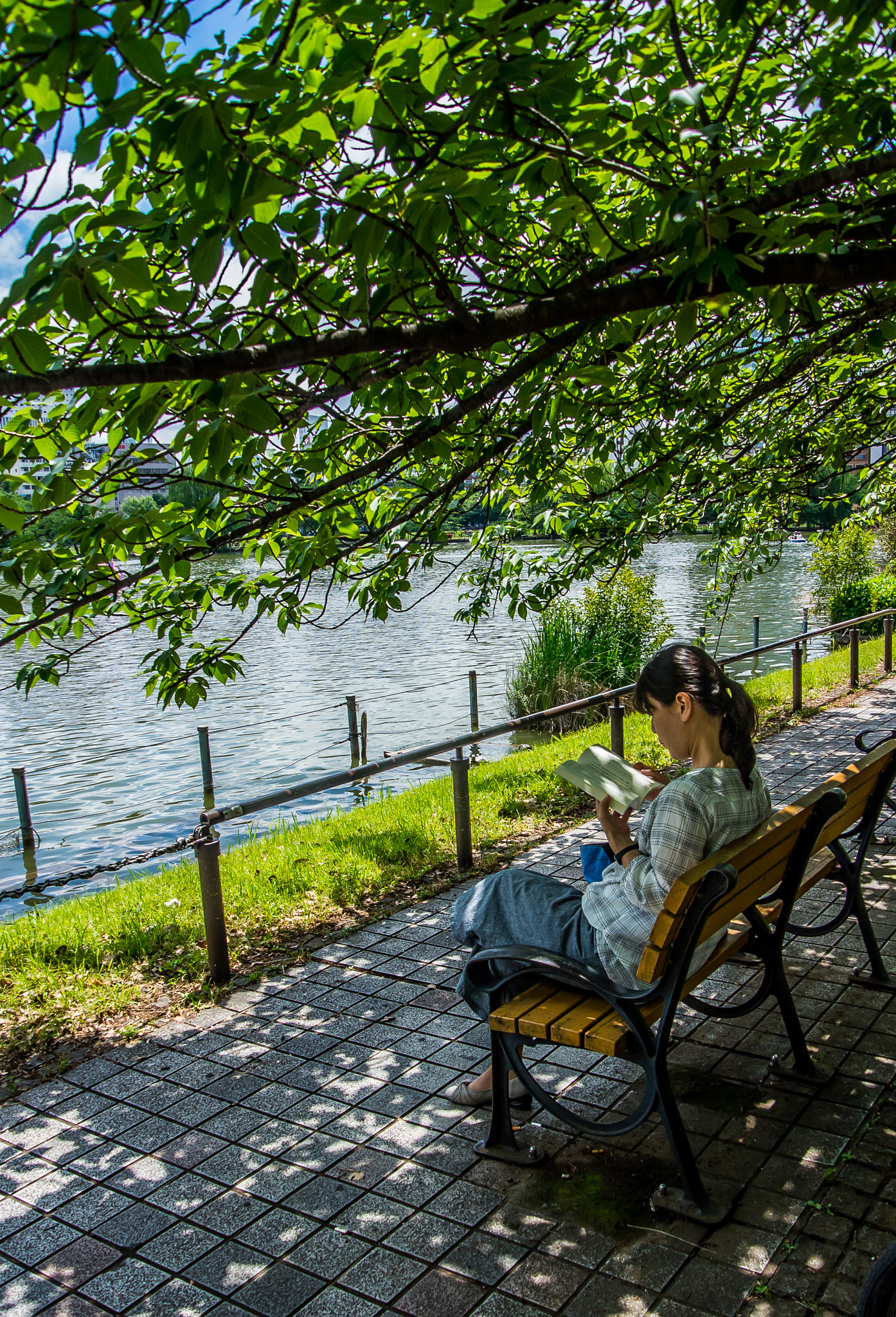 Nikon 1 V1 sample photo. Reading in the shade photography