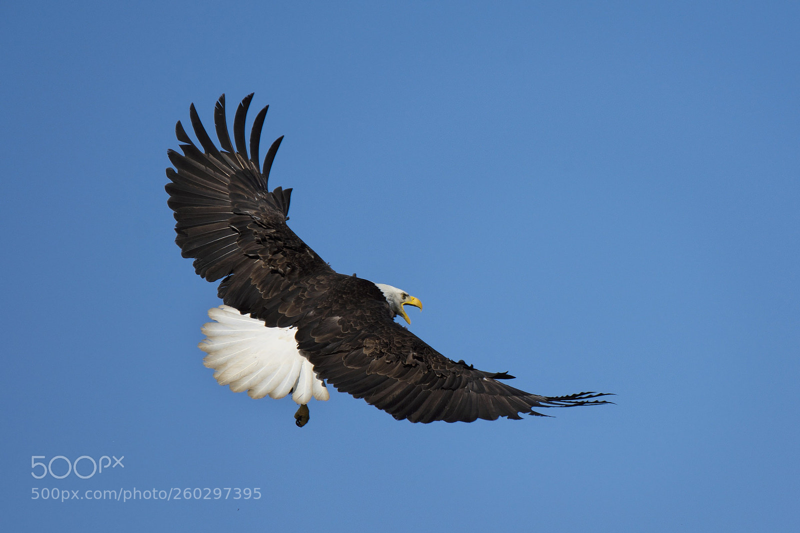 Nikon D7100 sample photo. Turn in sky photography