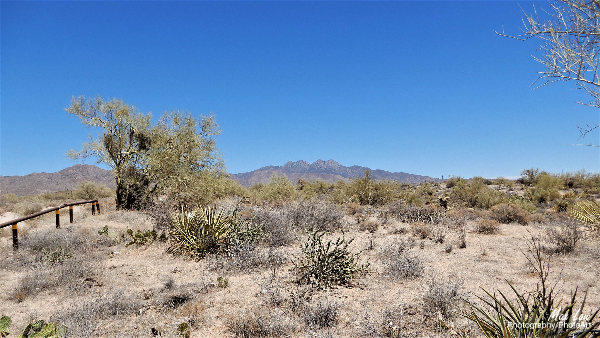 Nikon Coolpix A900 sample photo. Blue sky desert photography