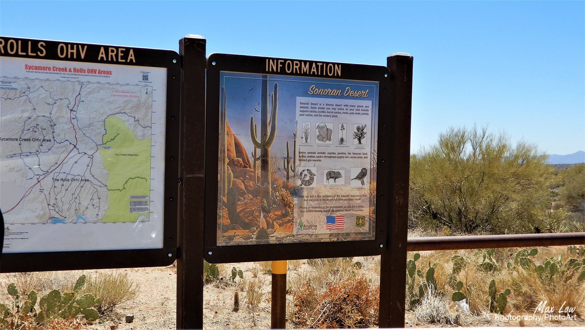 Nikon Coolpix A900 sample photo. Sonoran desert photography