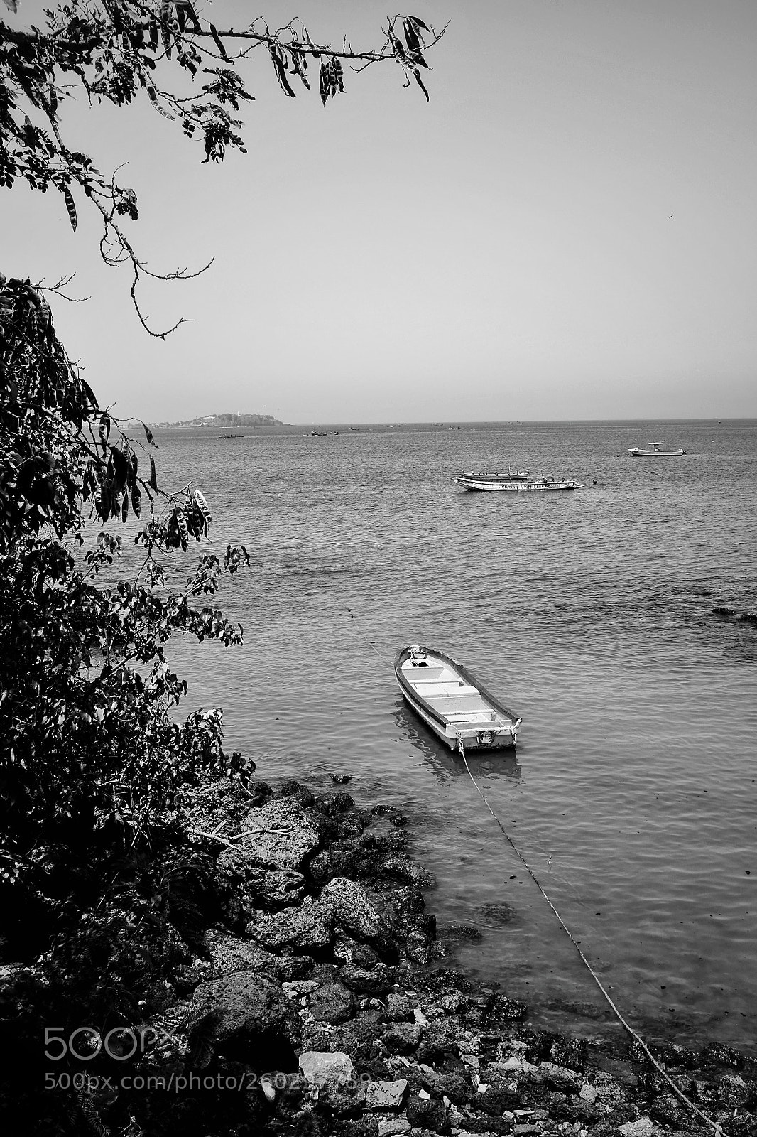 Fujifilm X100S sample photo. Untitled photography