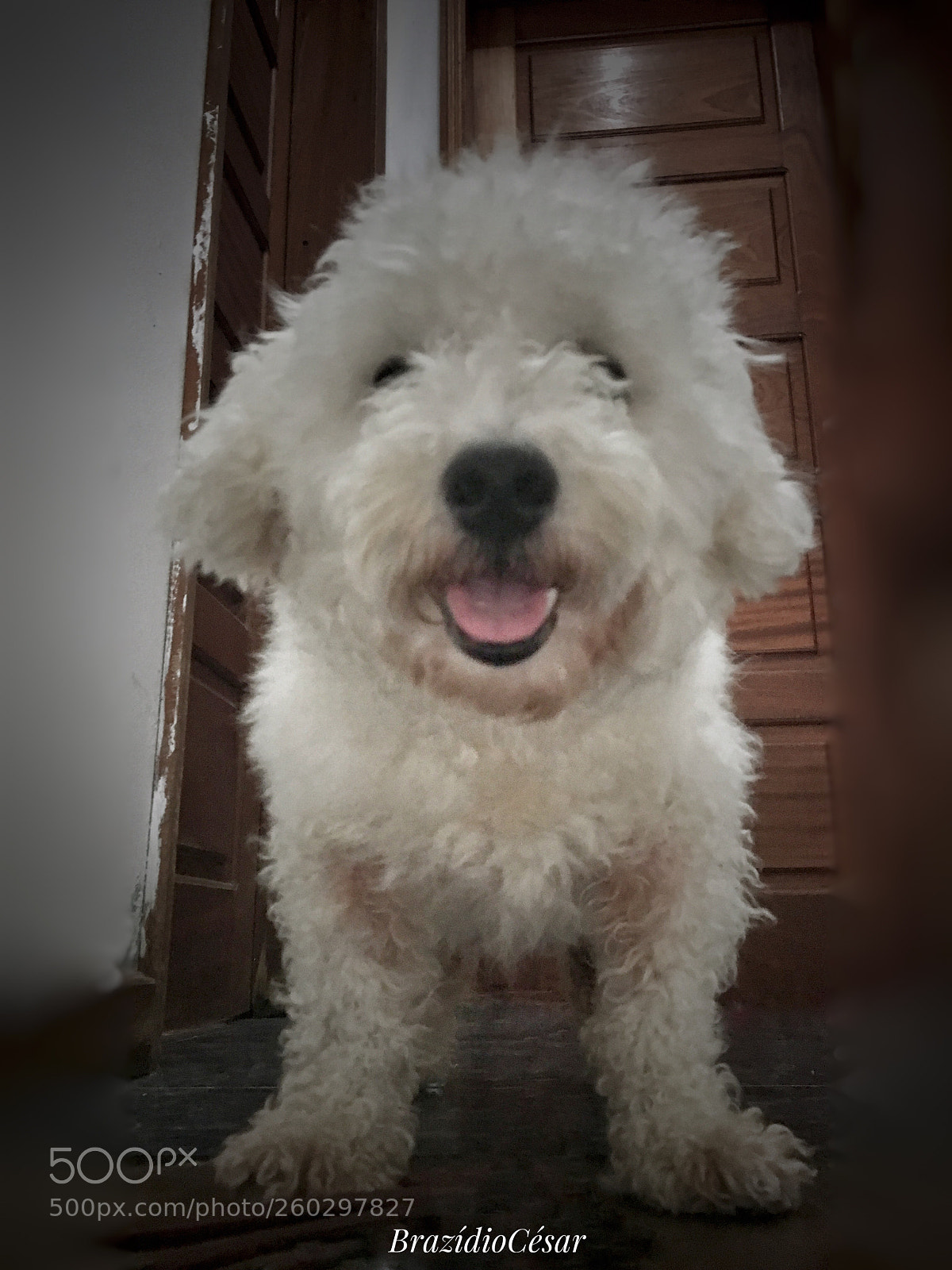 Apple iPhone 6s sample photo. Corisco 
 photography