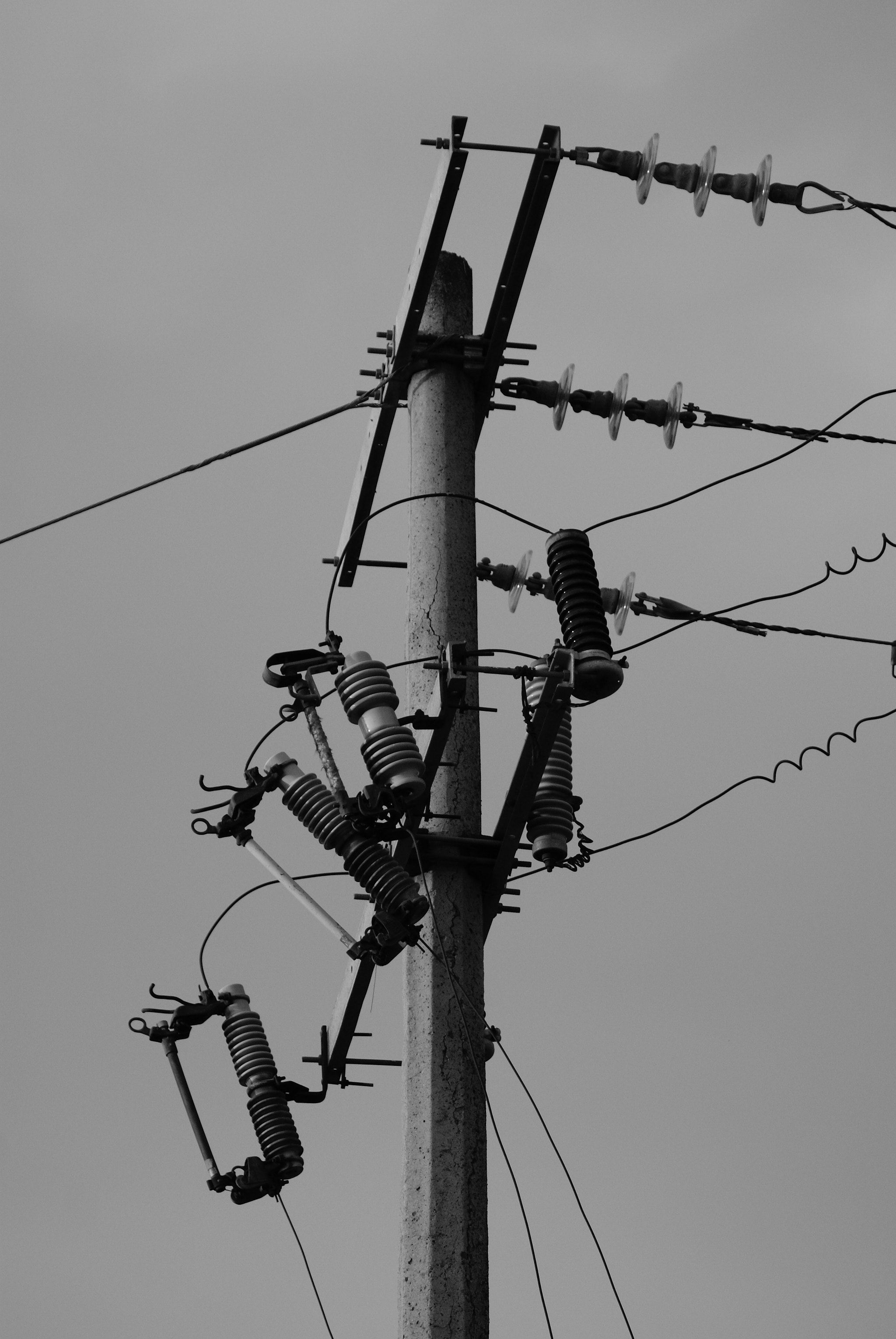 Sony 75-300mm F4.5-5.6 sample photo. Poste photography